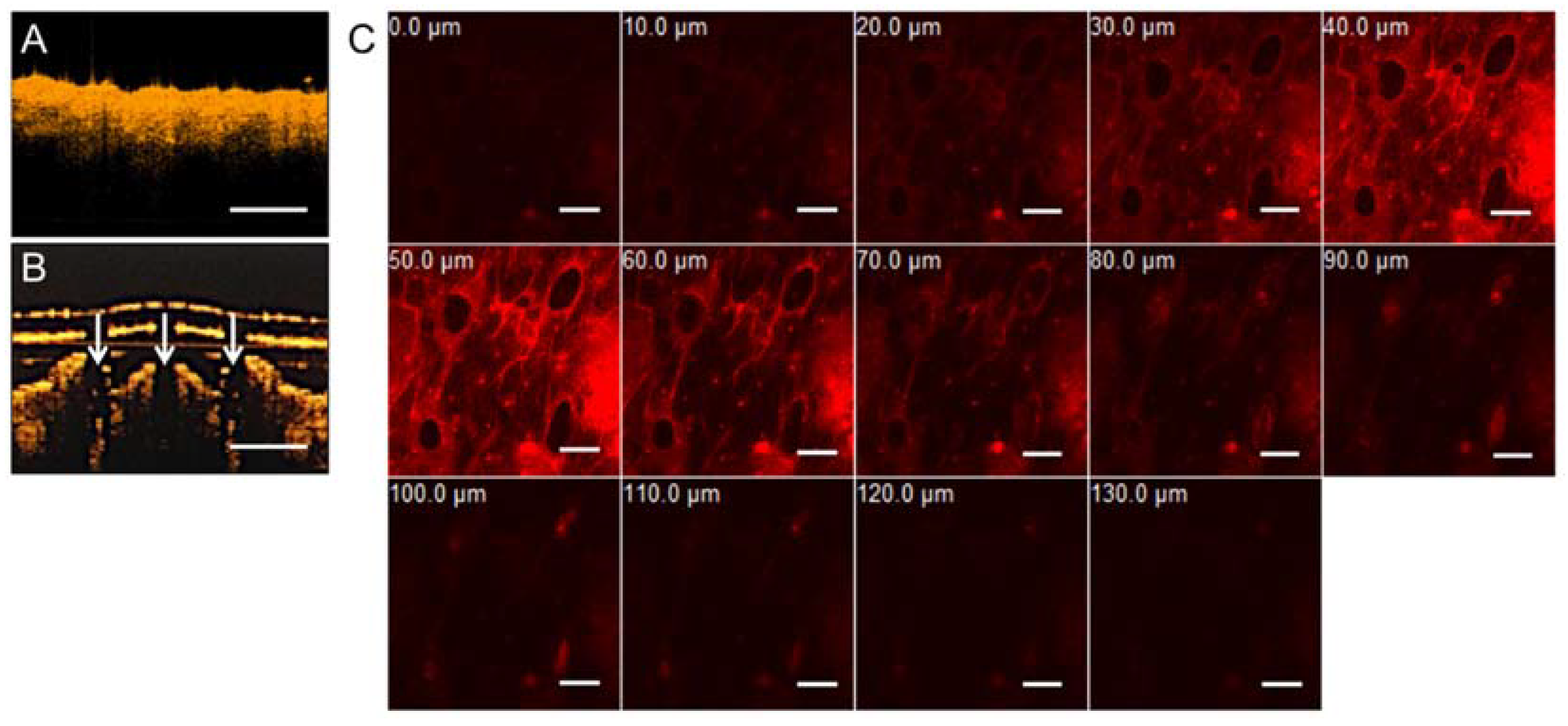 Materials 11 01625 g003 Materials 11 01625 g003