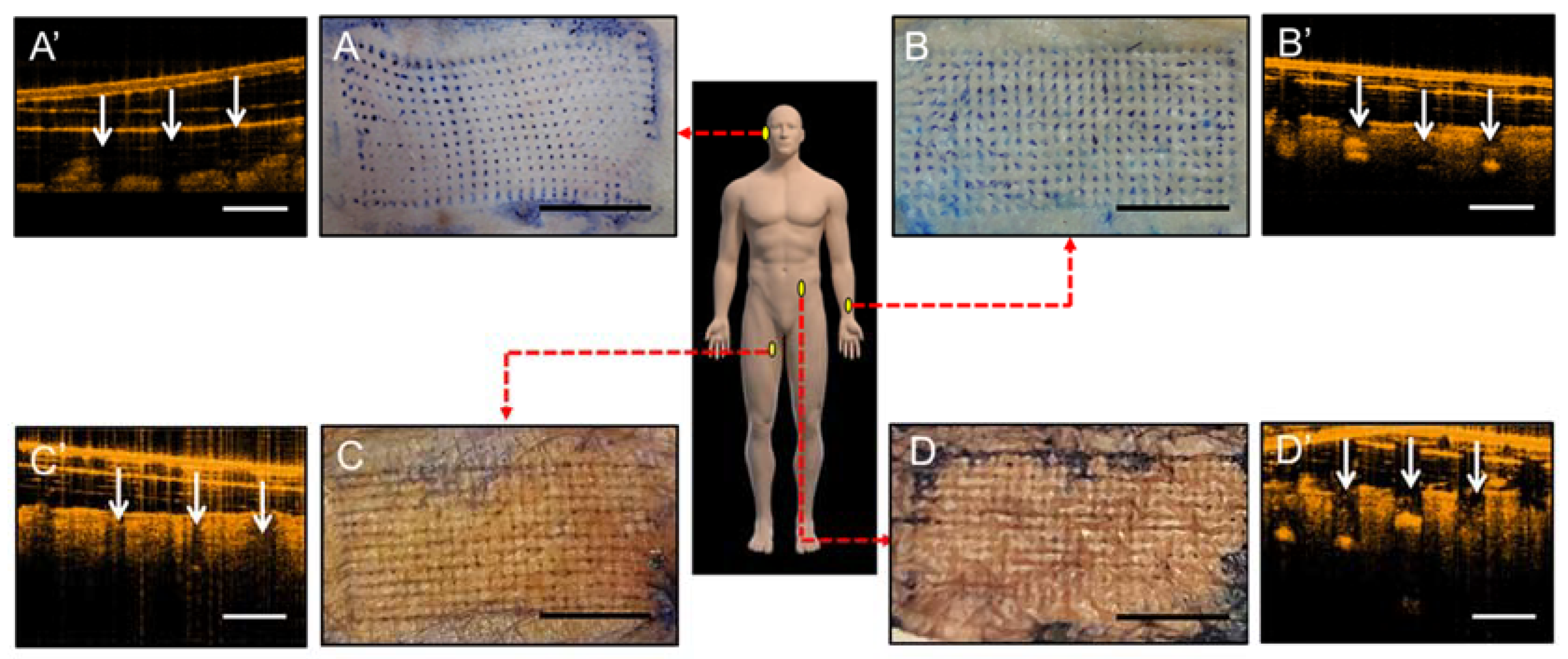 Materials 11 01625 g006 Materials 11 01625 g006