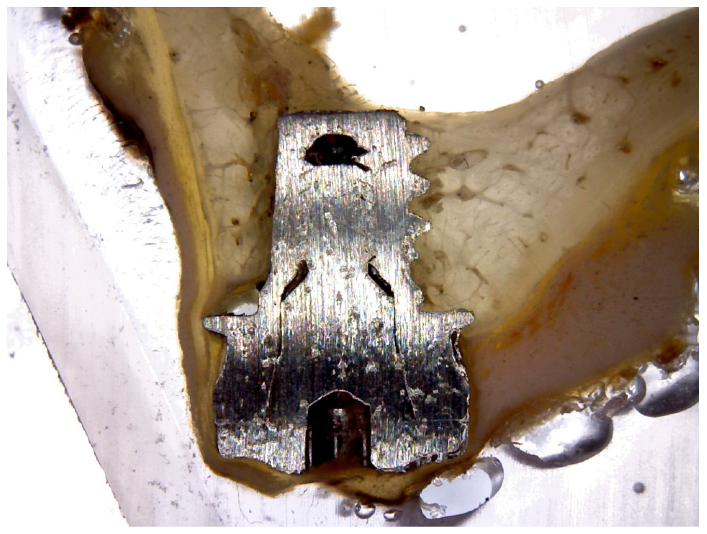 Materials 11 01630 g005