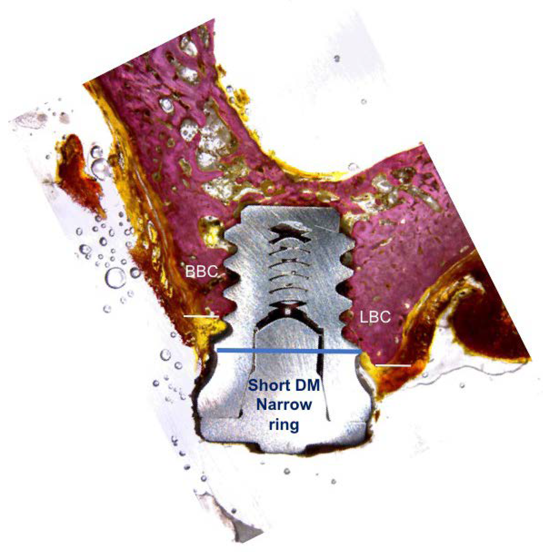 Materials 11 01630 g006