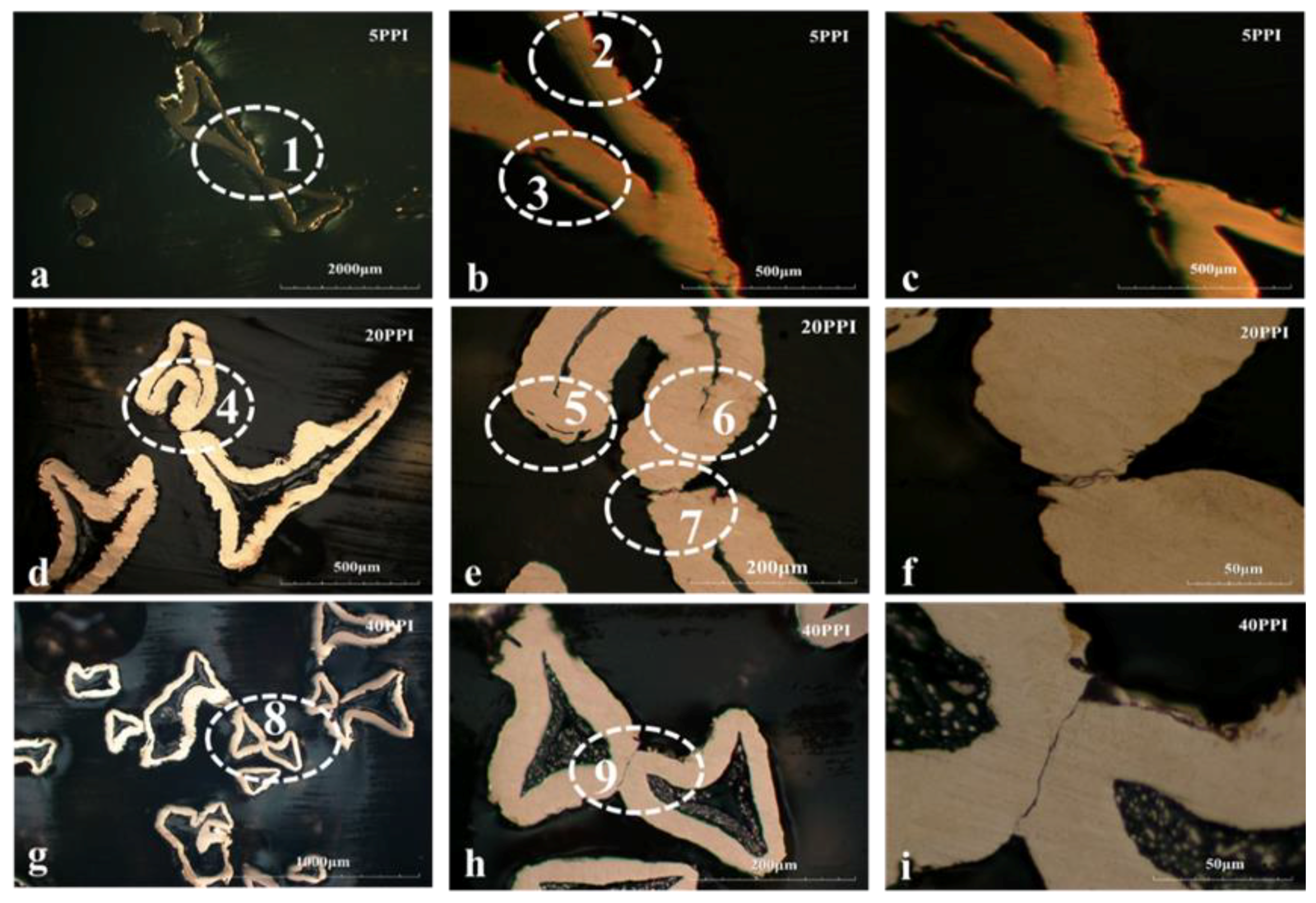 Materials 11 01639 g004