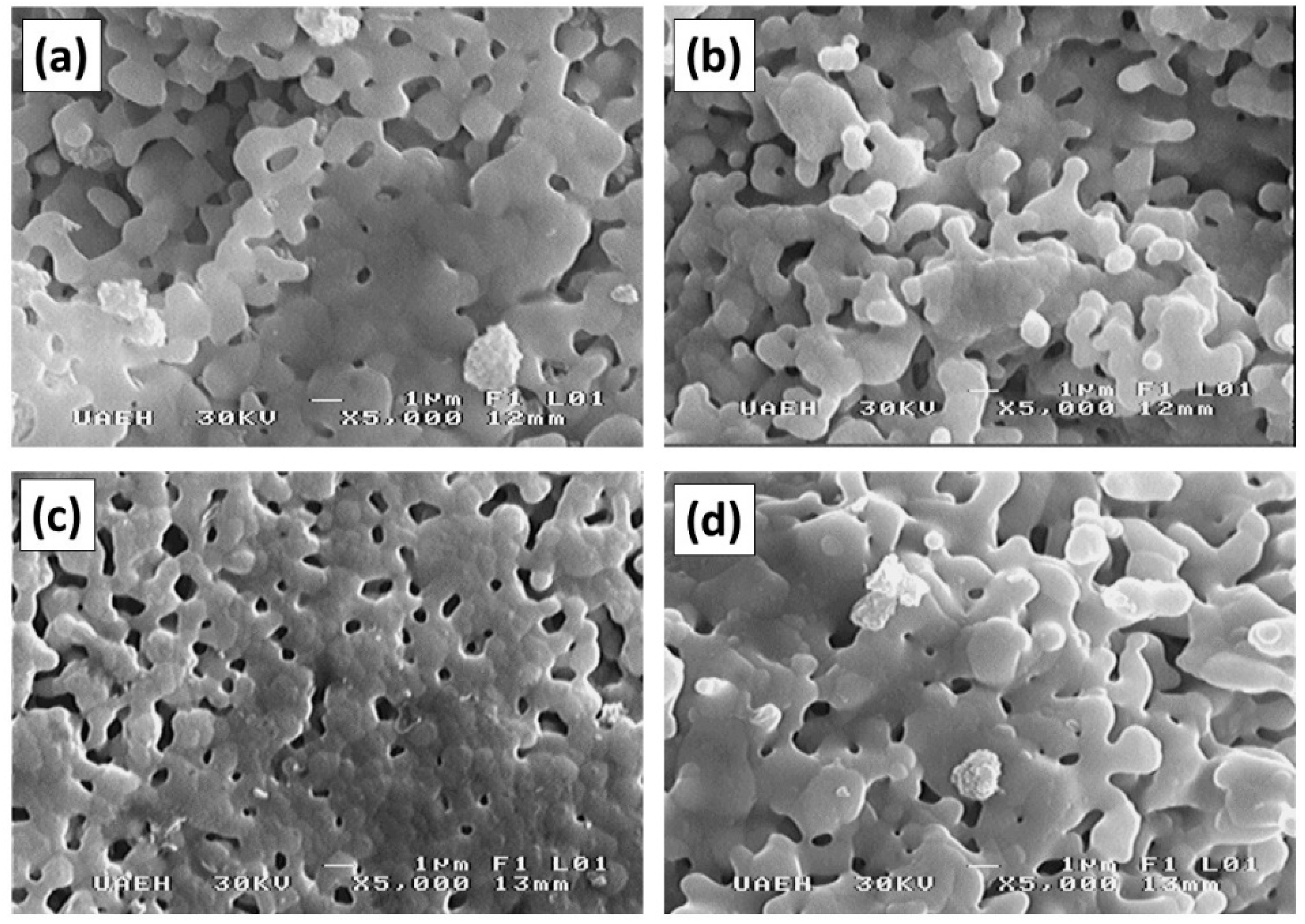 Materials 11 01652 g005