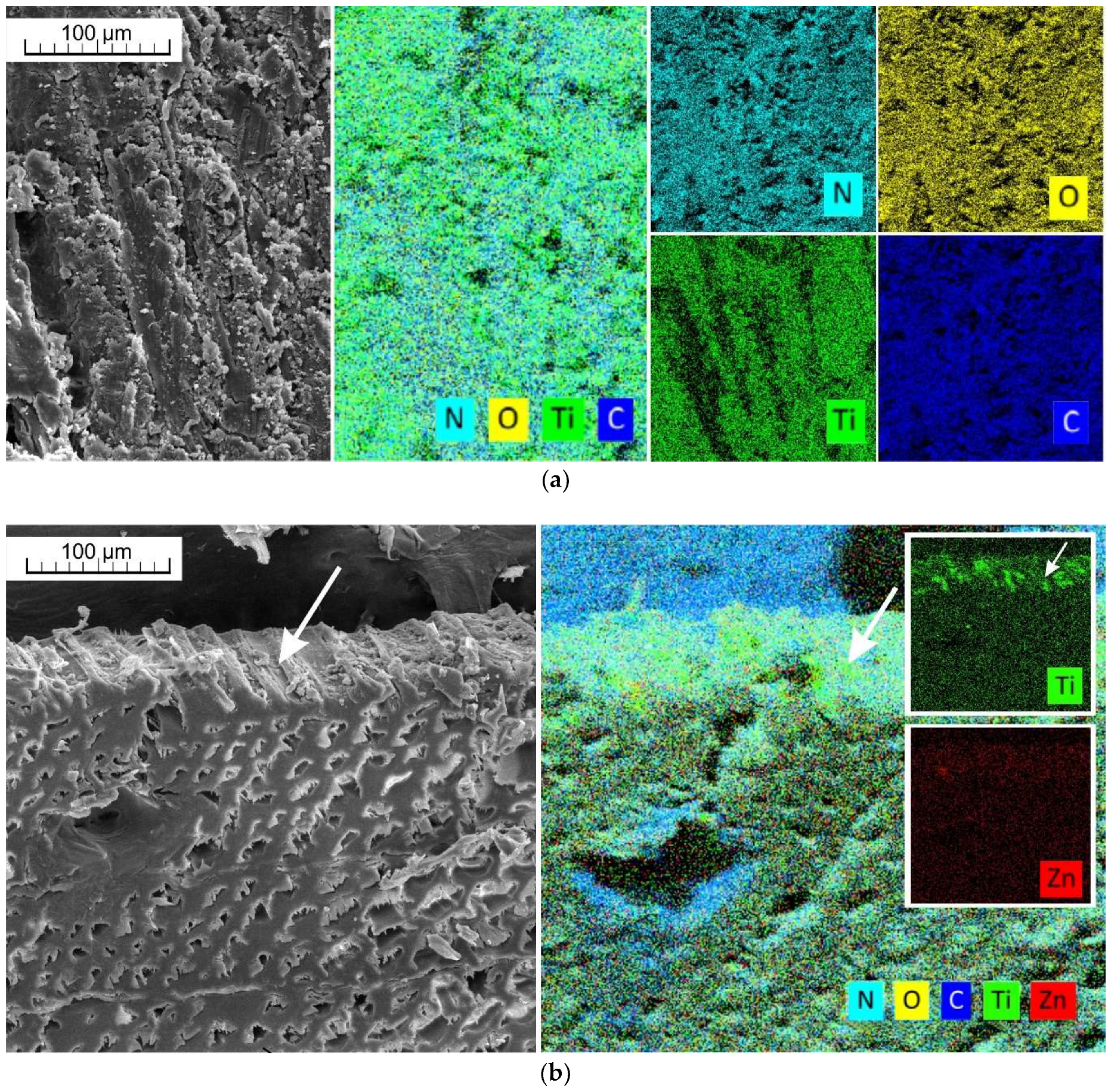 Materials 11 01653 g003a Materials 11 01653 g003a