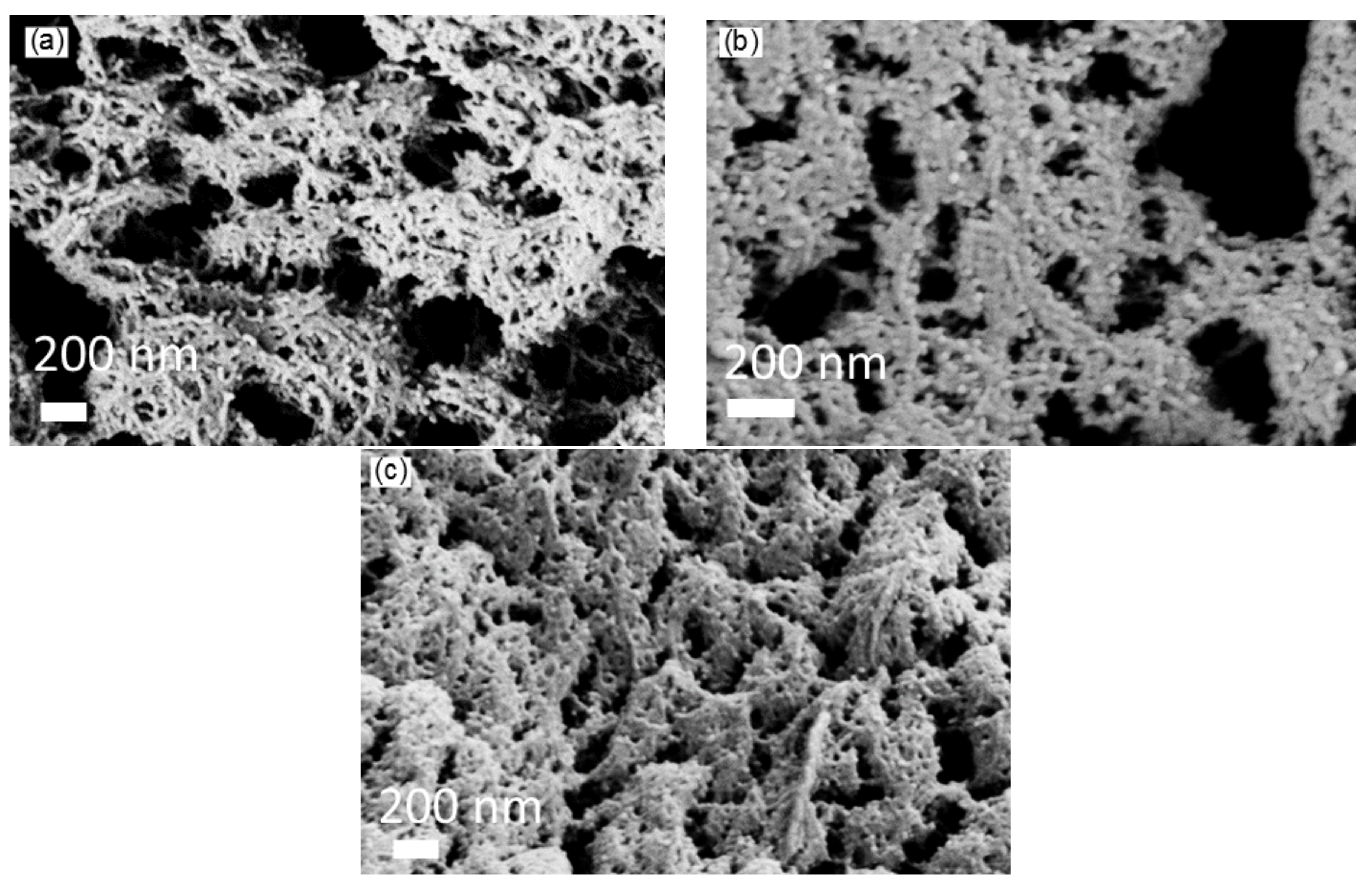 Materials 11 01670 g002