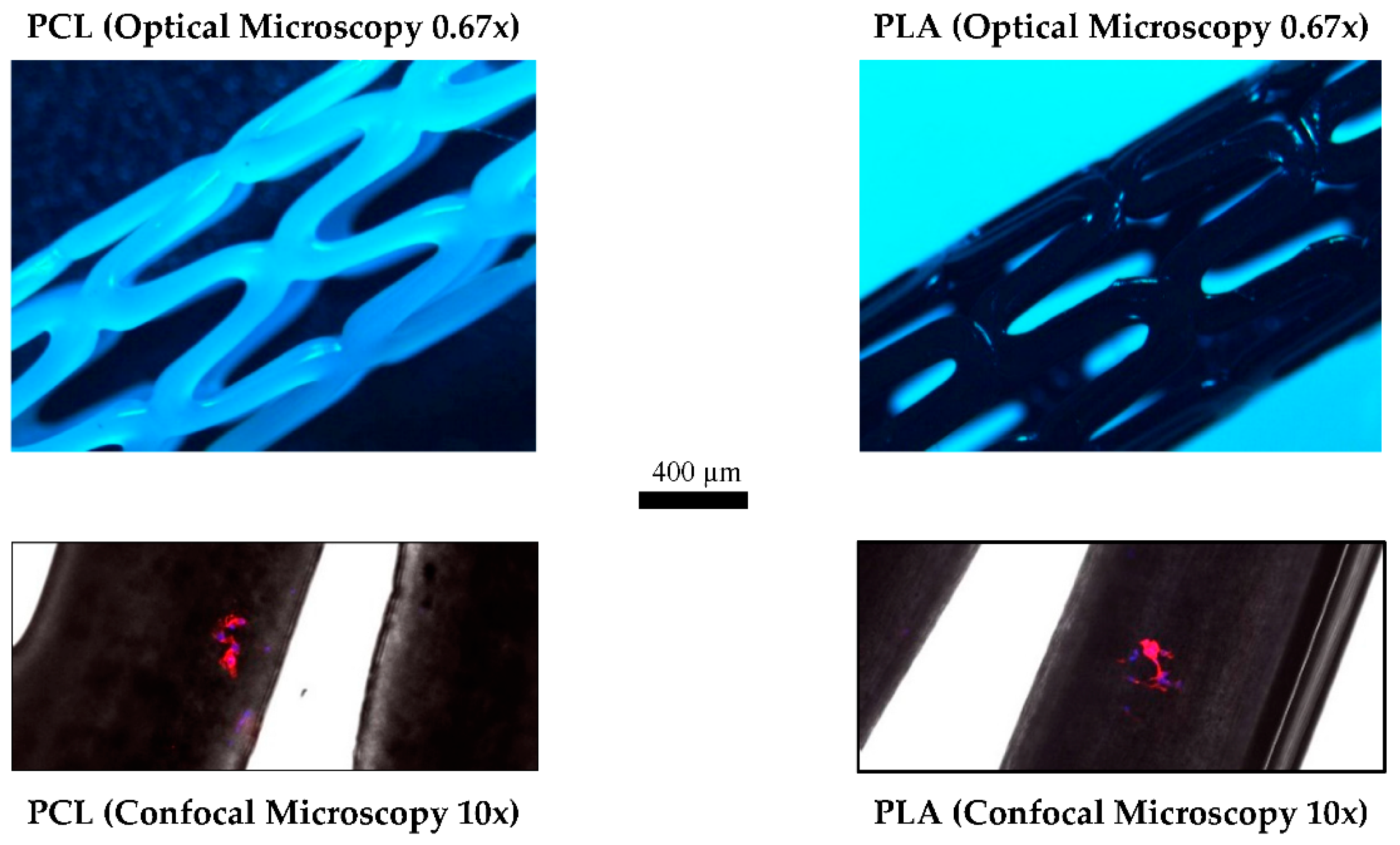 Materials 11 01679 g005