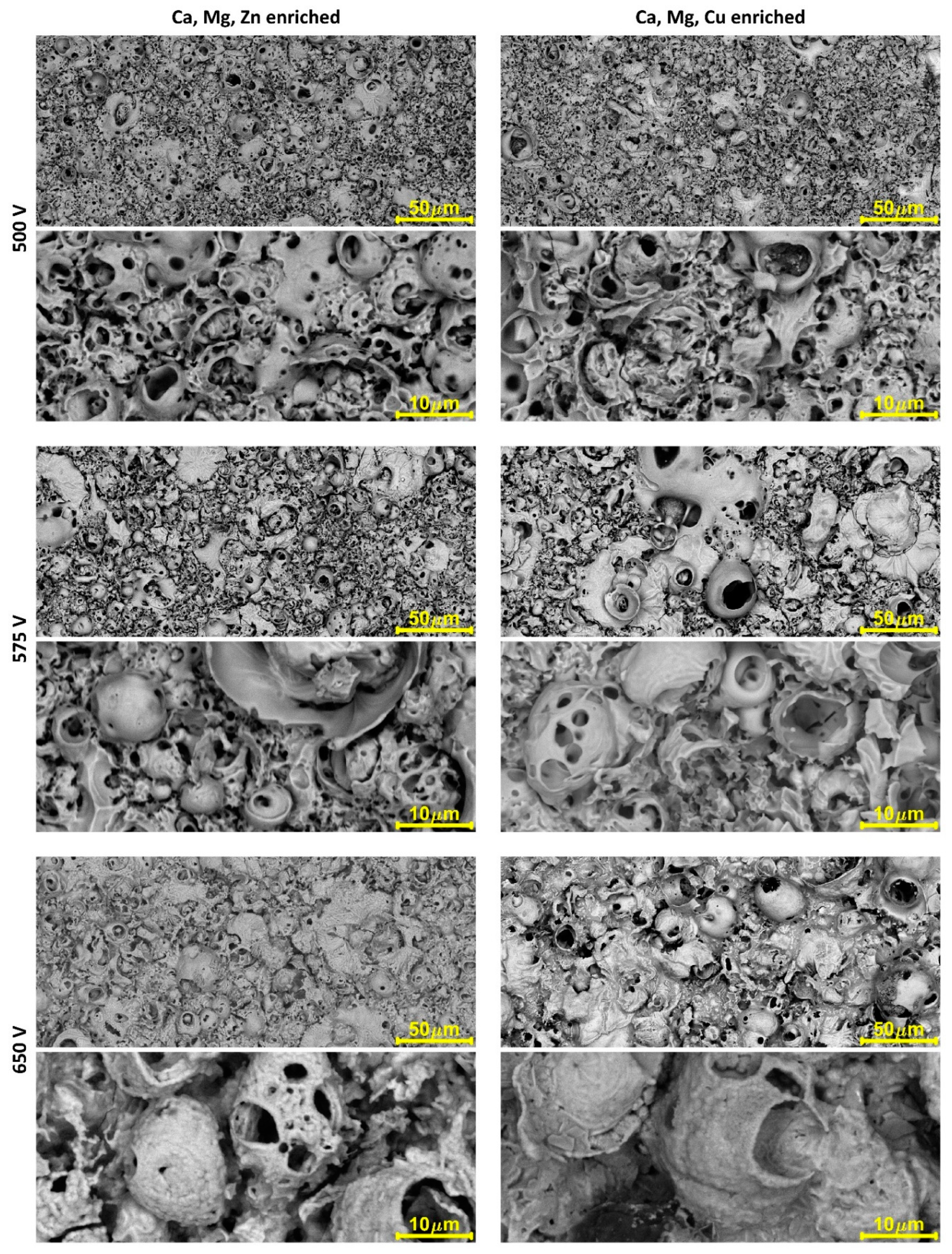 Materials 11 01680 g001