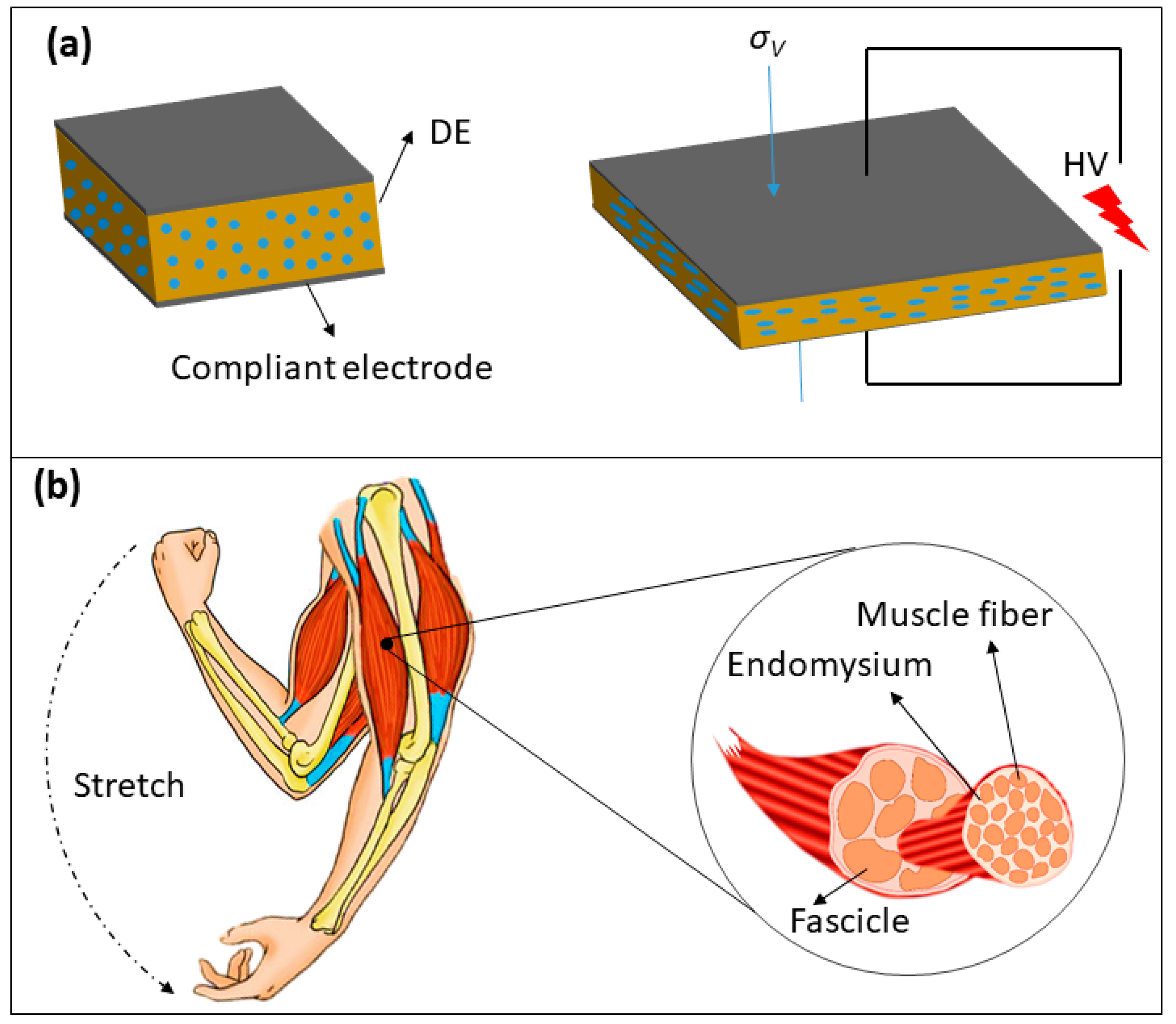 Materials 11 01687 g001 Materials 11 01687 g001