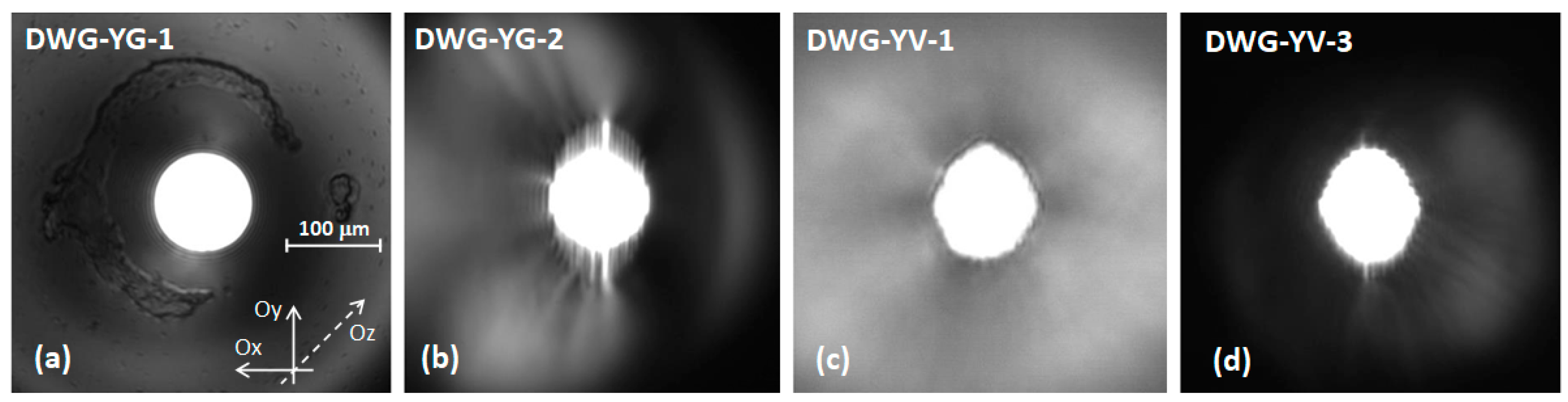 Materials 11 01689 g001 Materials 11 01689 g001