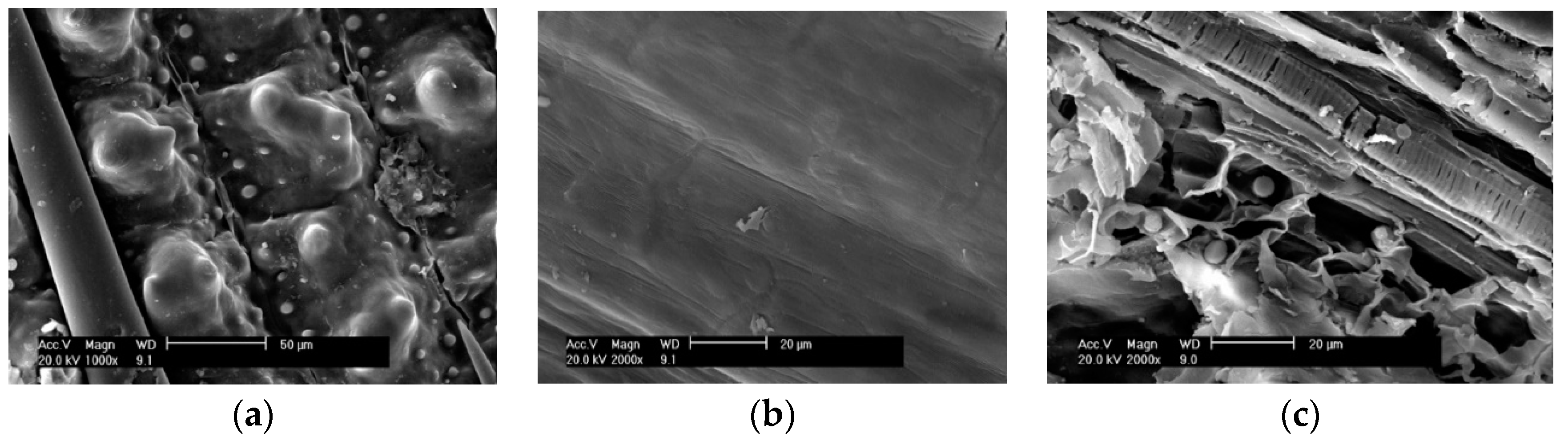 Materials 11 01697 g005