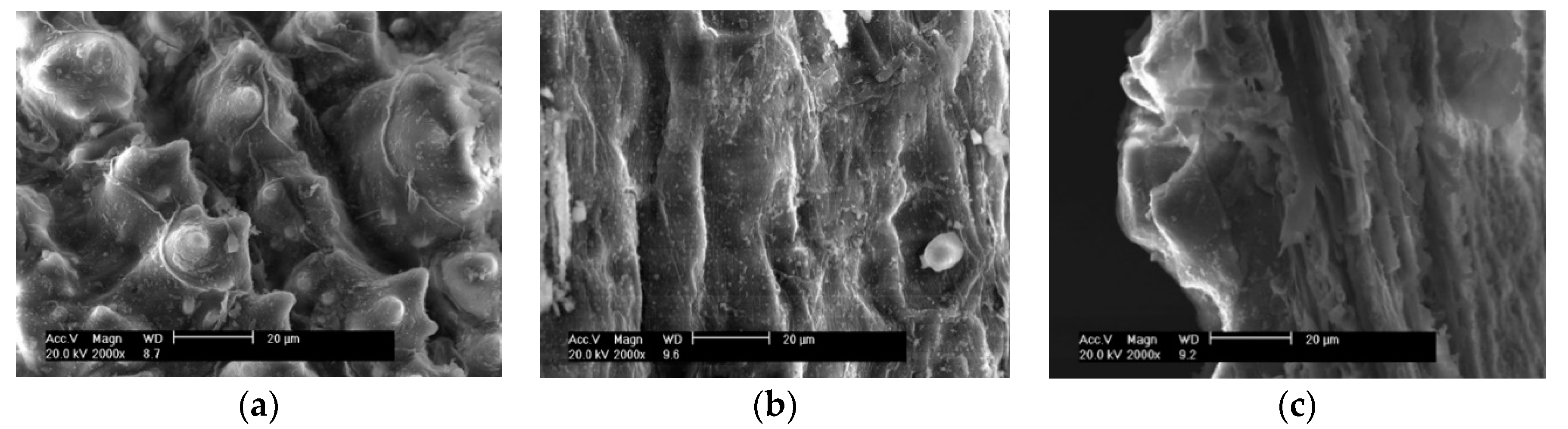 Materials 11 01697 g006