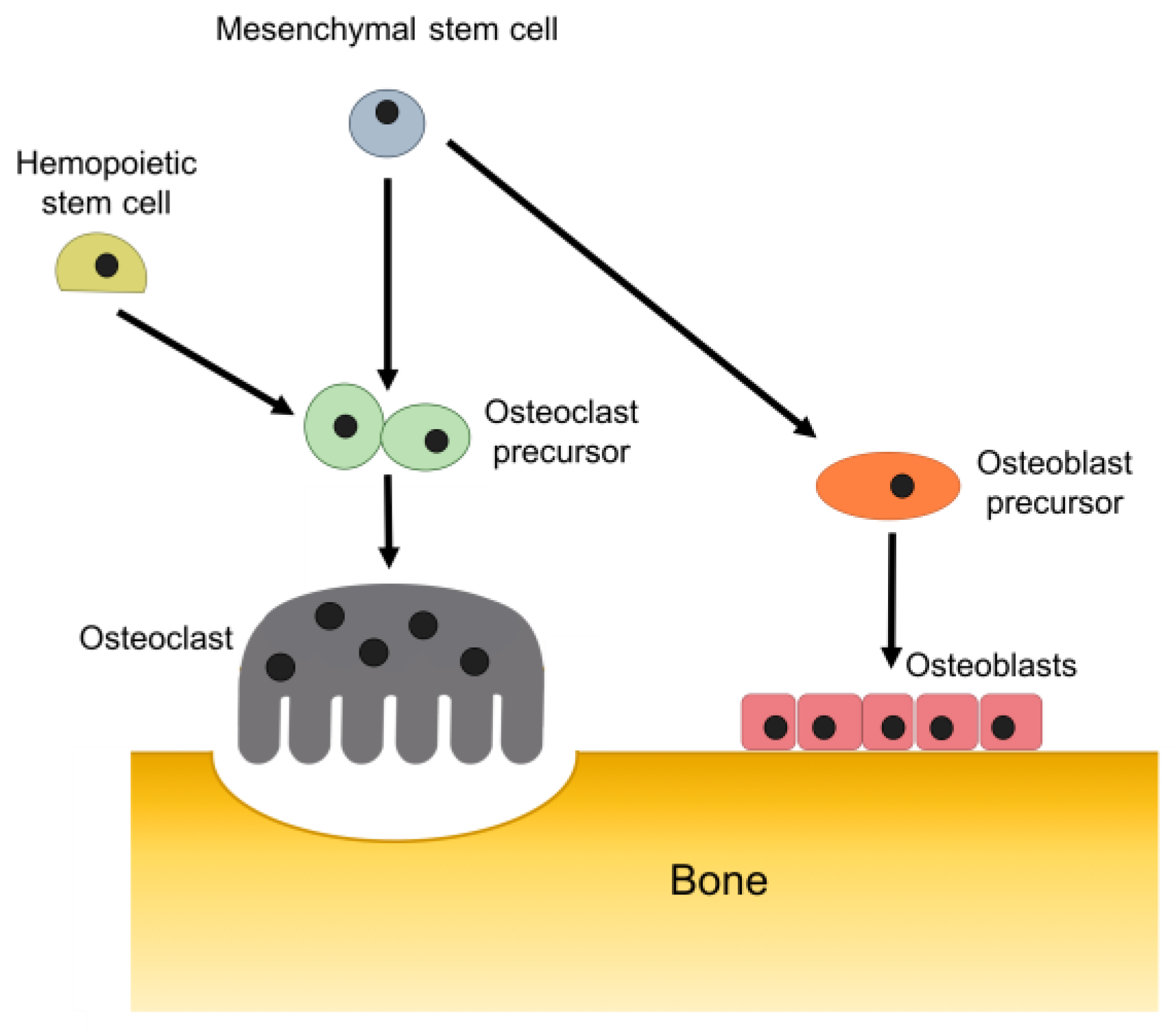 Materials 11 01702 g002 Materials 11 01702 g002