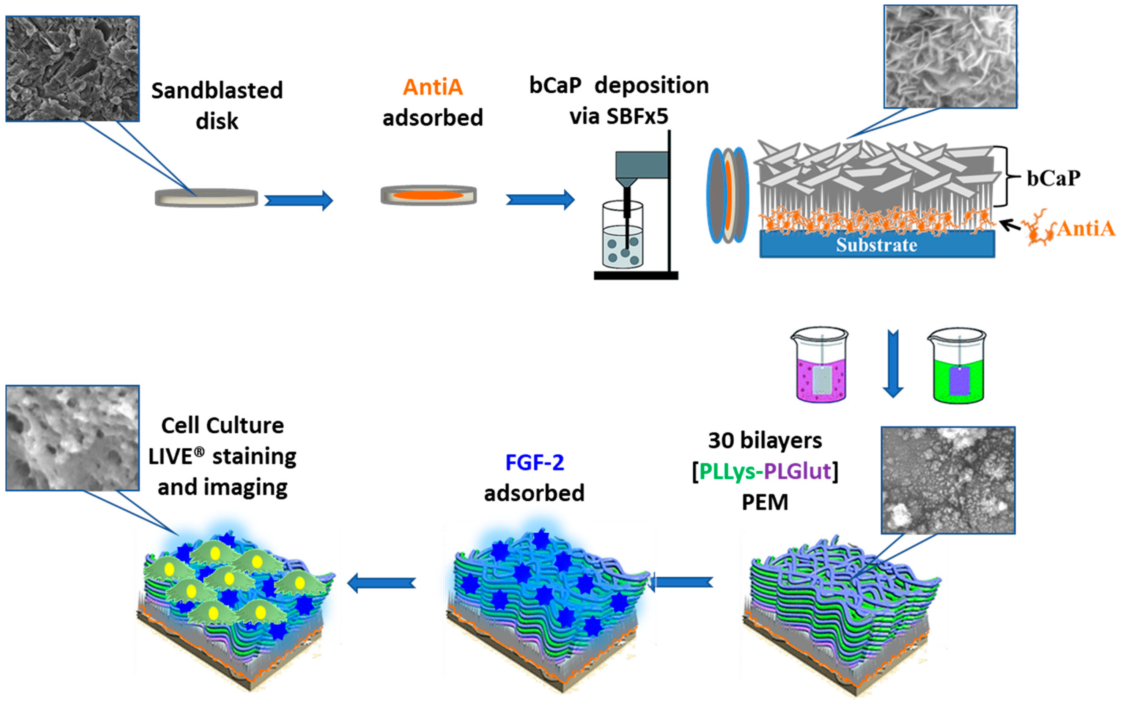Materials 11 01703 g001 Materials 11 01703 g001