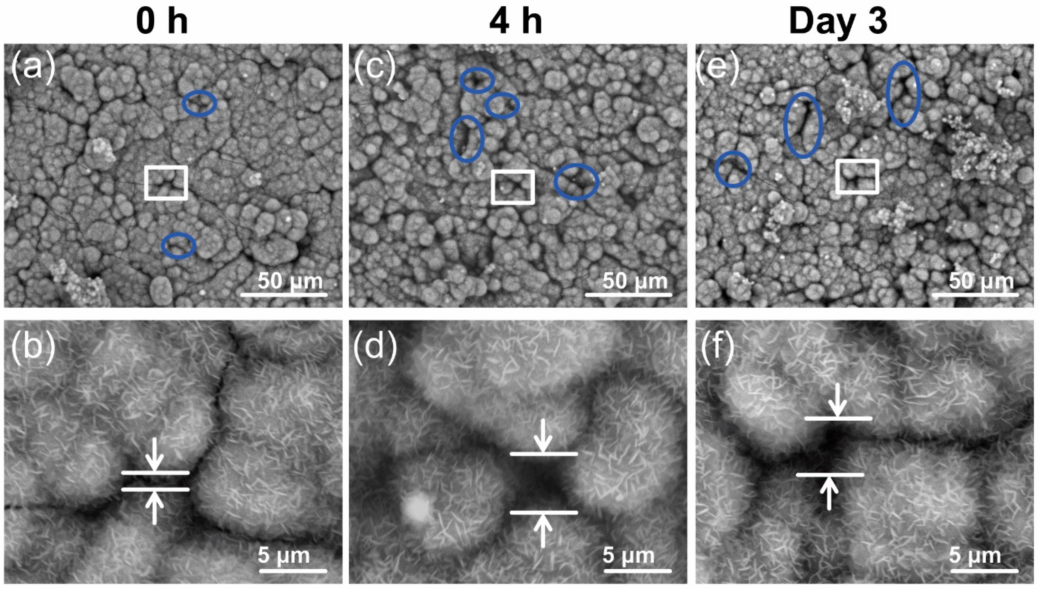 Materials 11 01703 g008 Materials 11 01703 g008