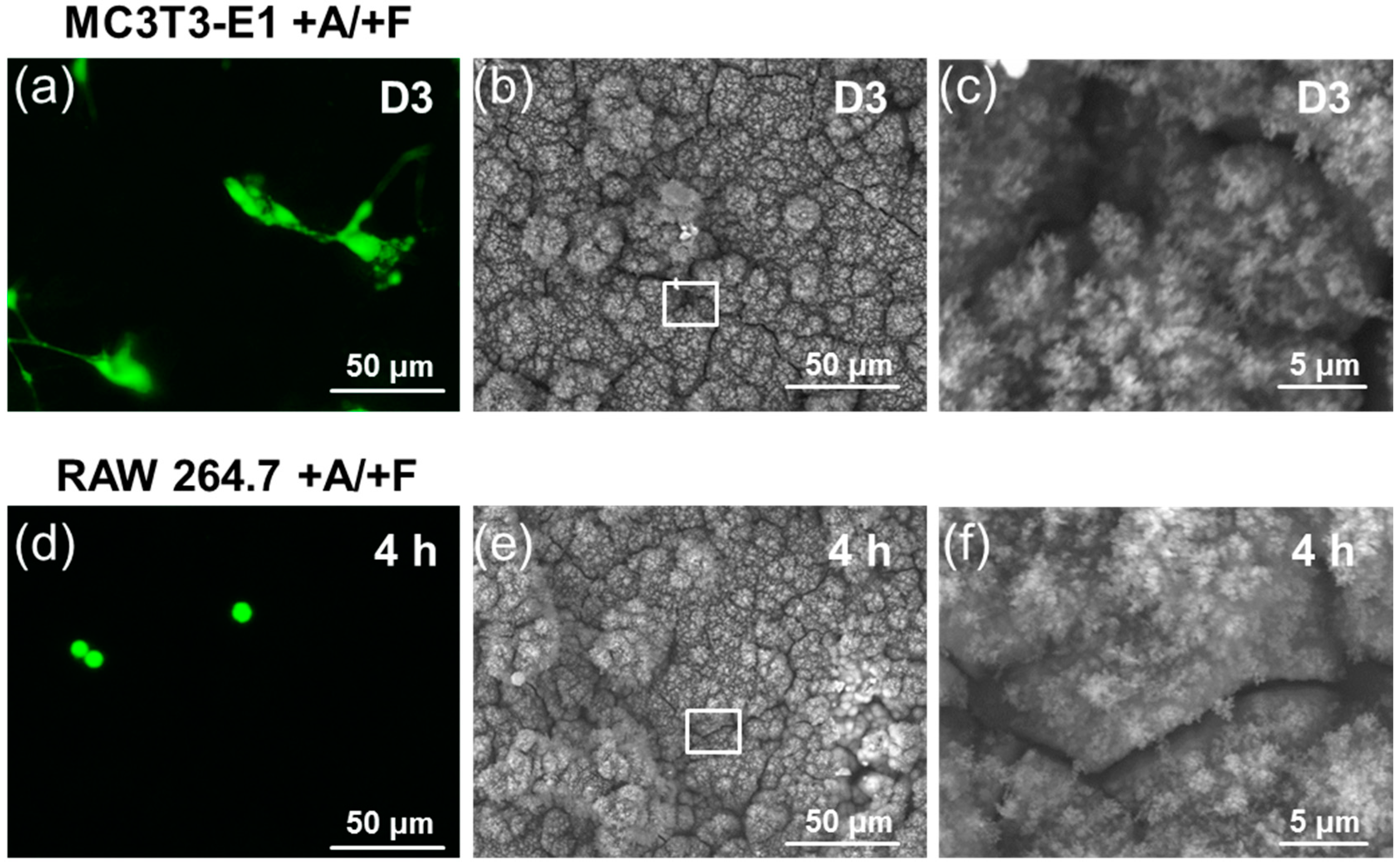 Materials 11 01703 g0a4 Materials 11 01703 g0a4