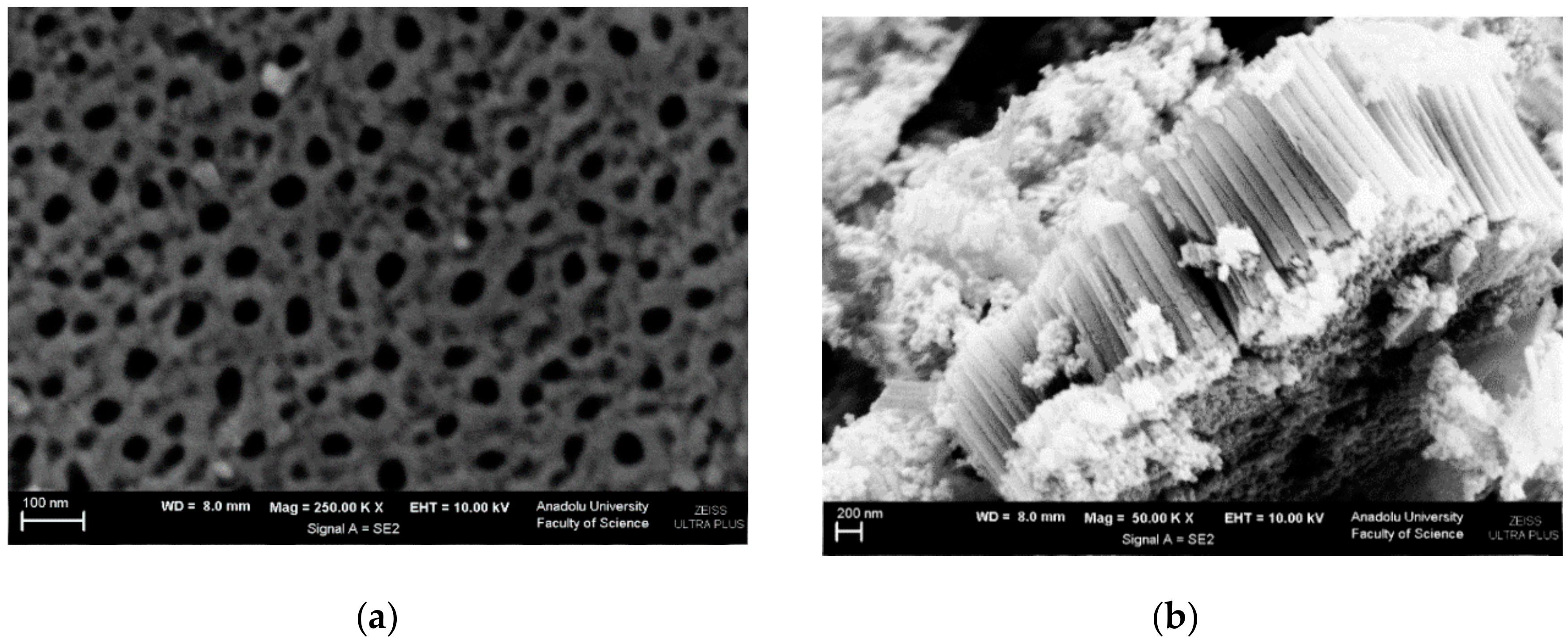 Materials 11 01715 g005 Materials 11 01715 g005