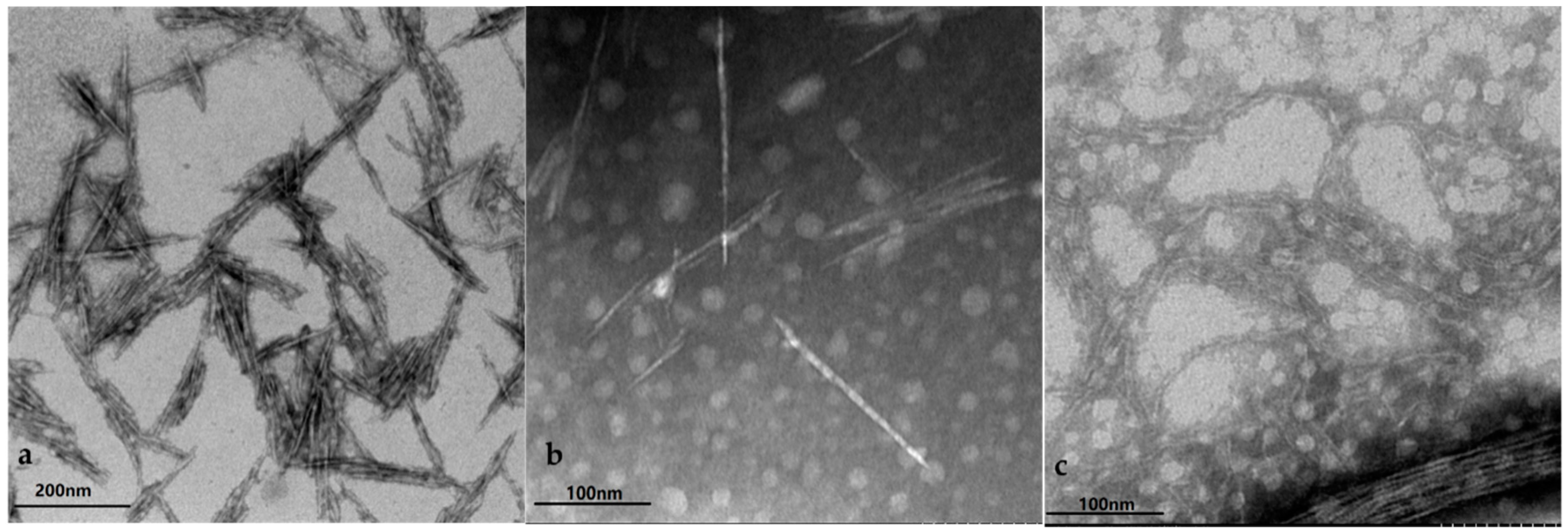Materials 11 01725 g001