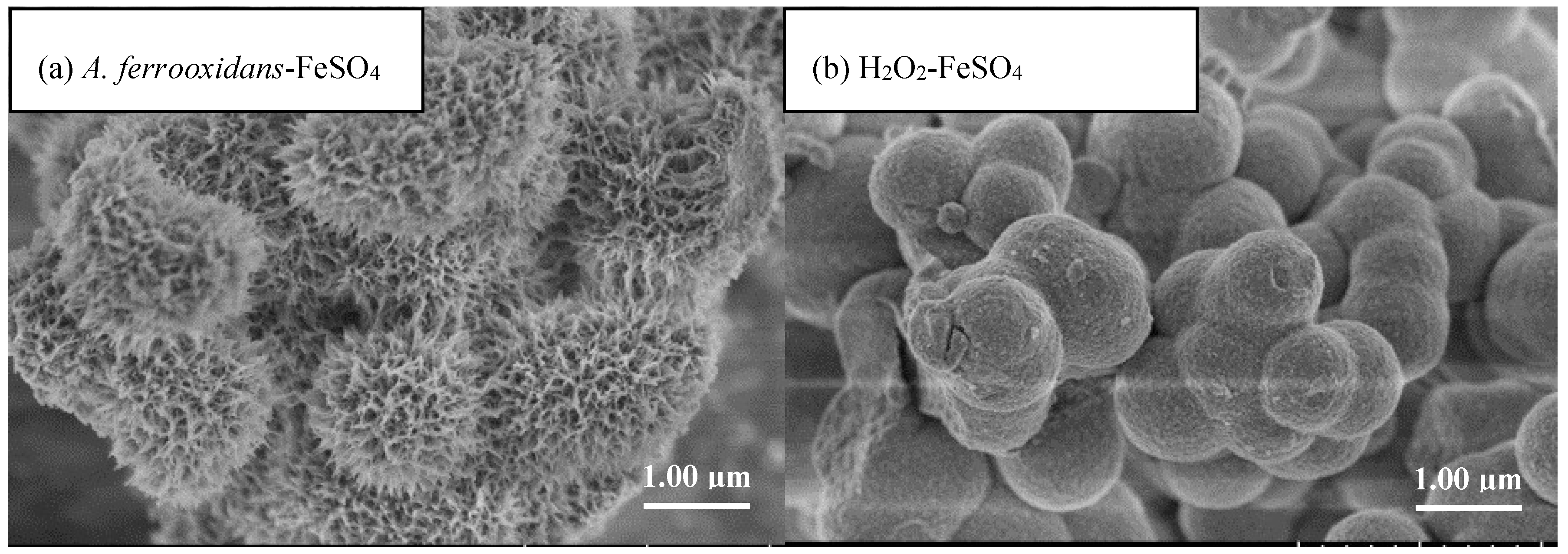 Materials 11 01739 g003 Materials 11 01739 g003