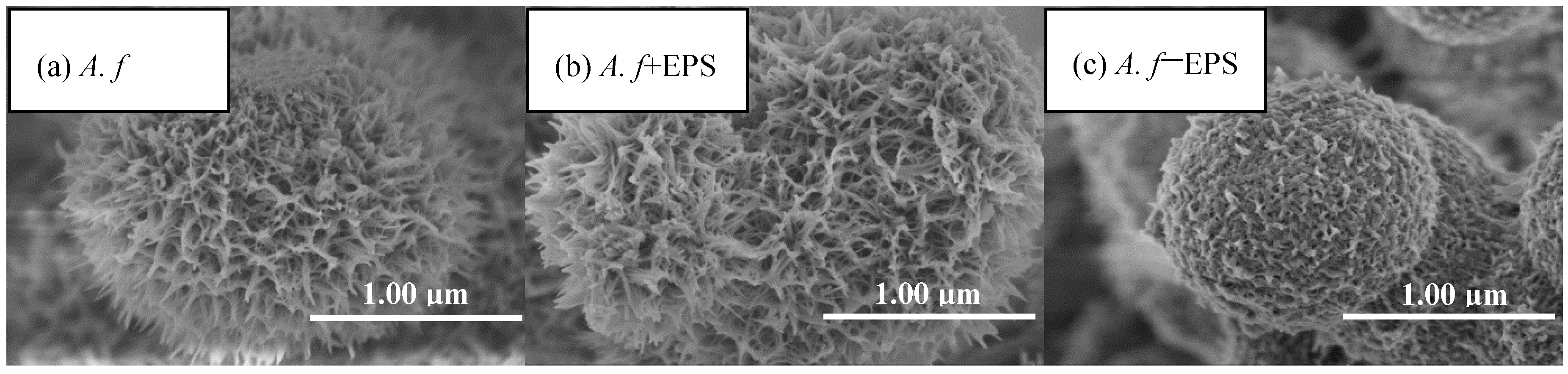 Materials 11 01739 g006 Materials 11 01739 g006