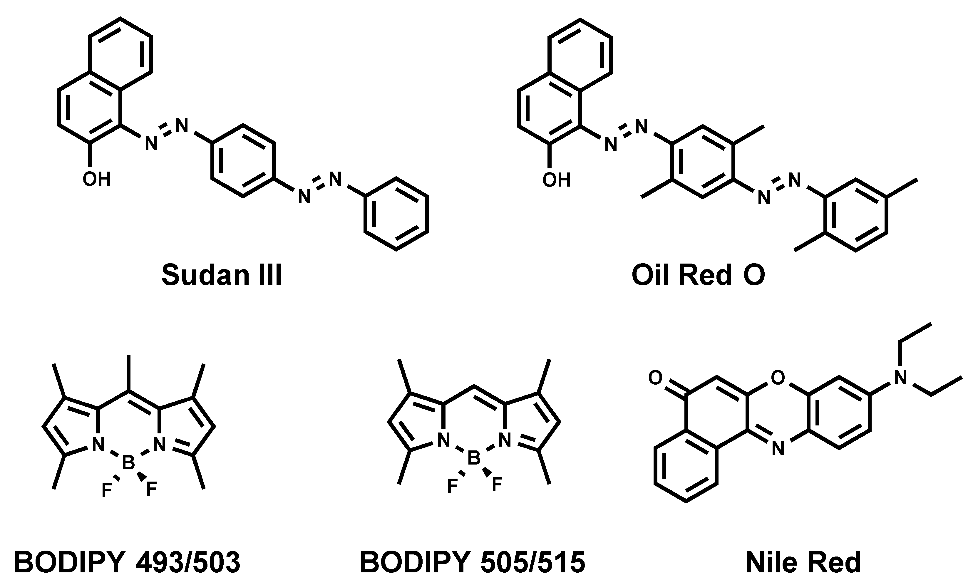 Materials 11 01768 g002 Materials 11 01768 g002