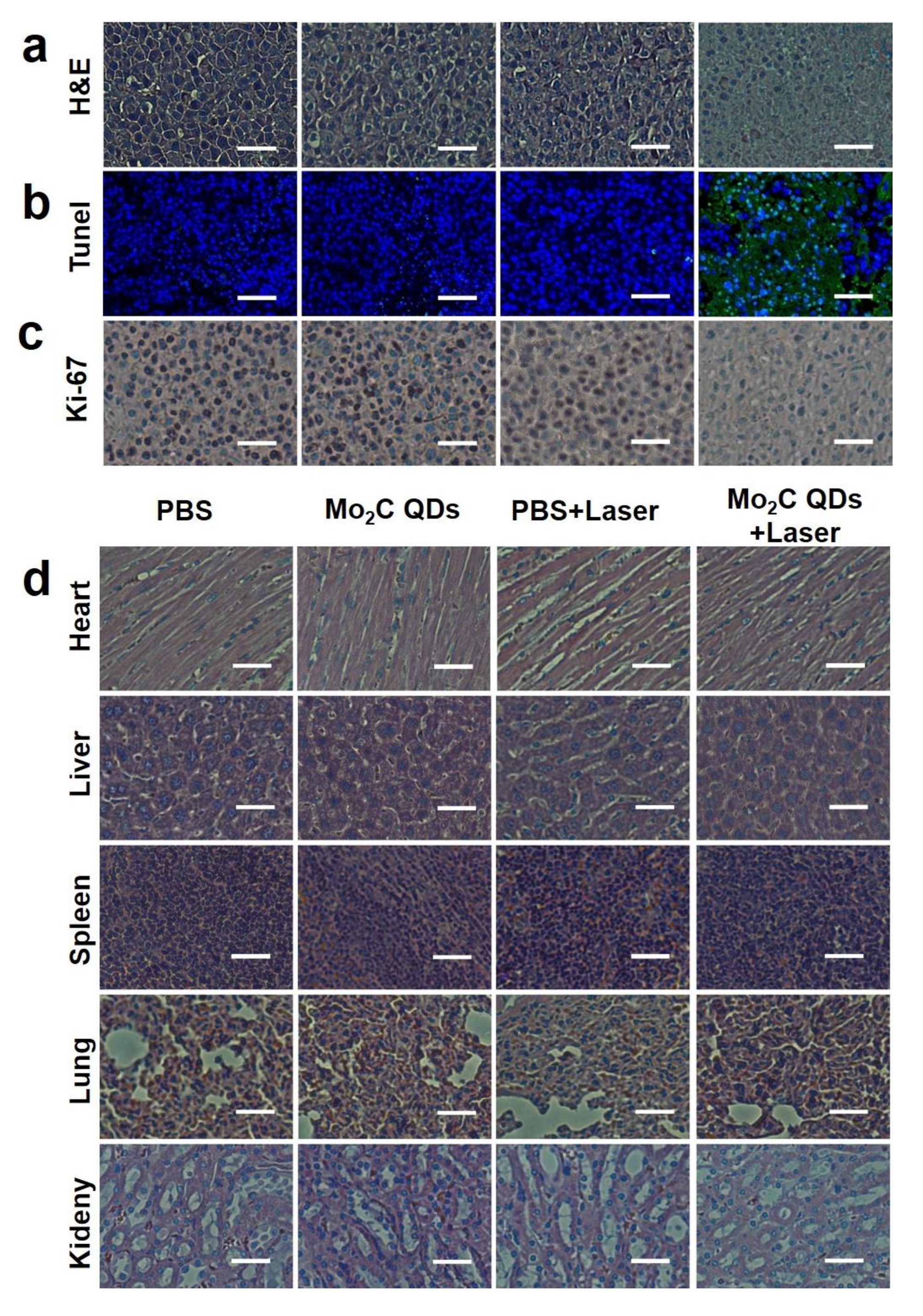 Materials 11 01776 g006 Materials 11 01776 g006