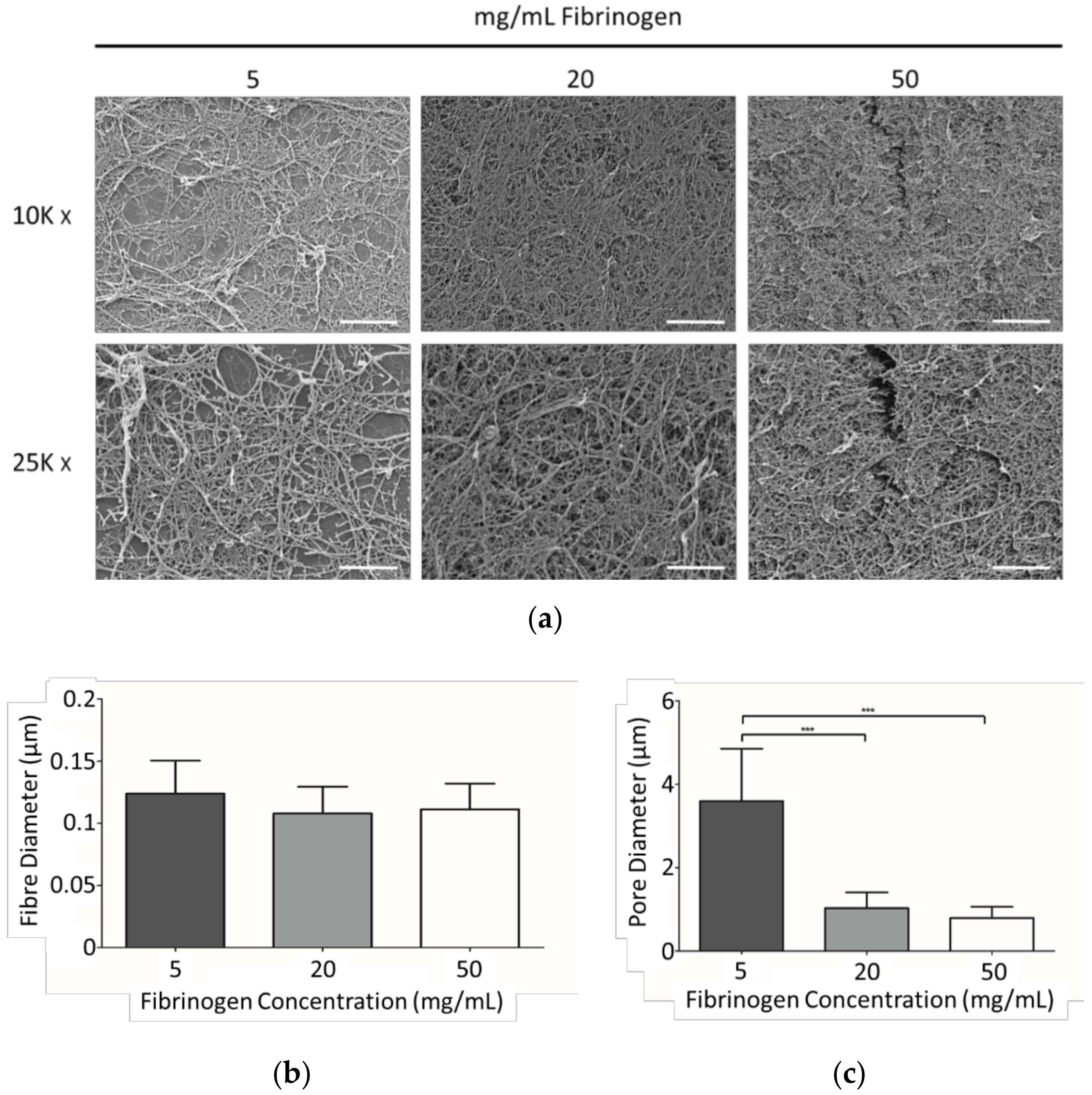 Materials 11 01781 g002
