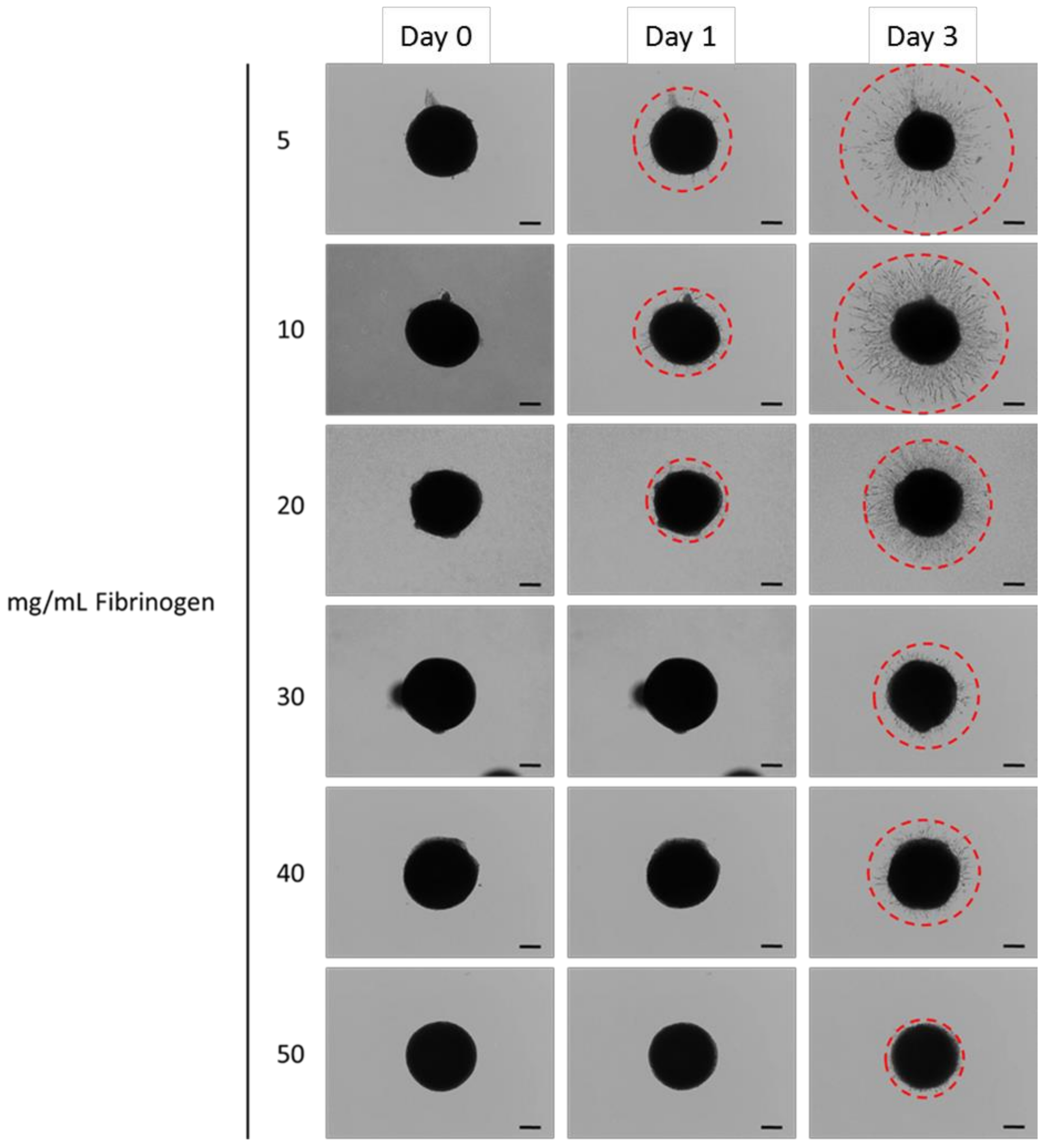 Materials 11 01781 g006