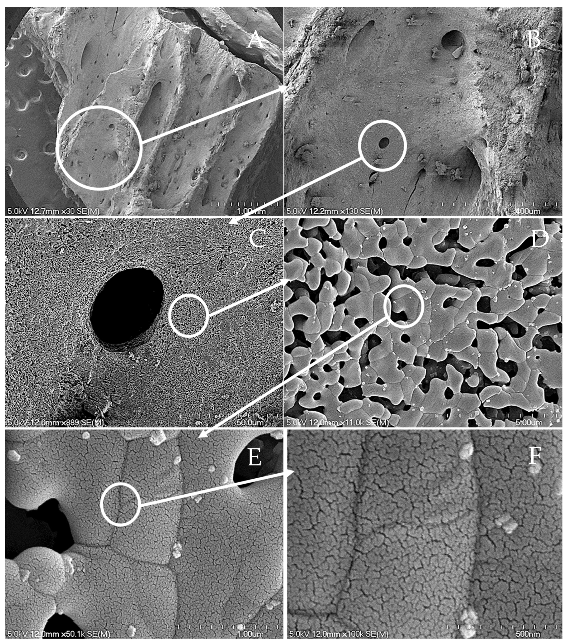 Materials 11 01813 g004