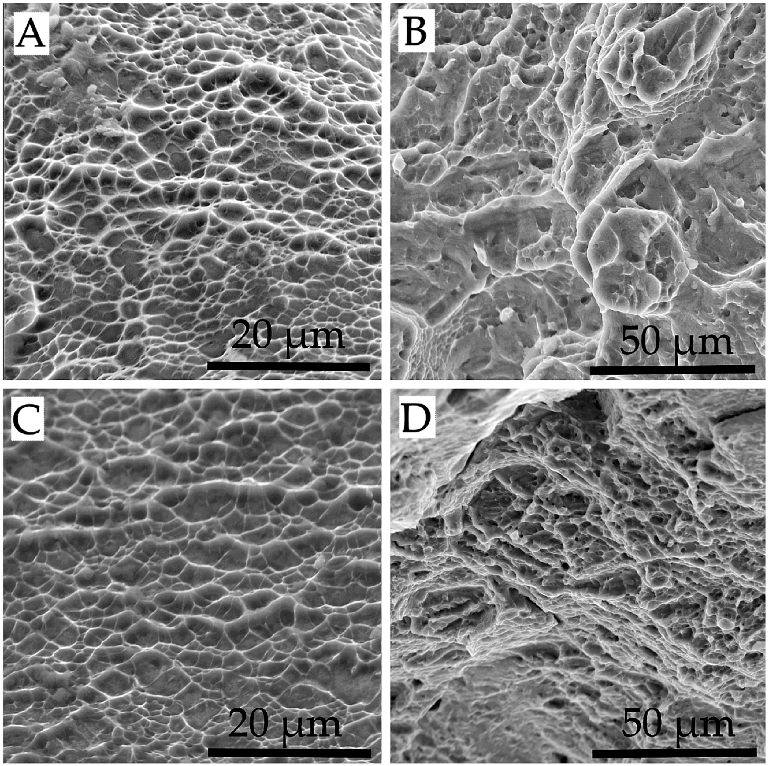 Materials 11 01831 g008 Materials 11 01831 g008