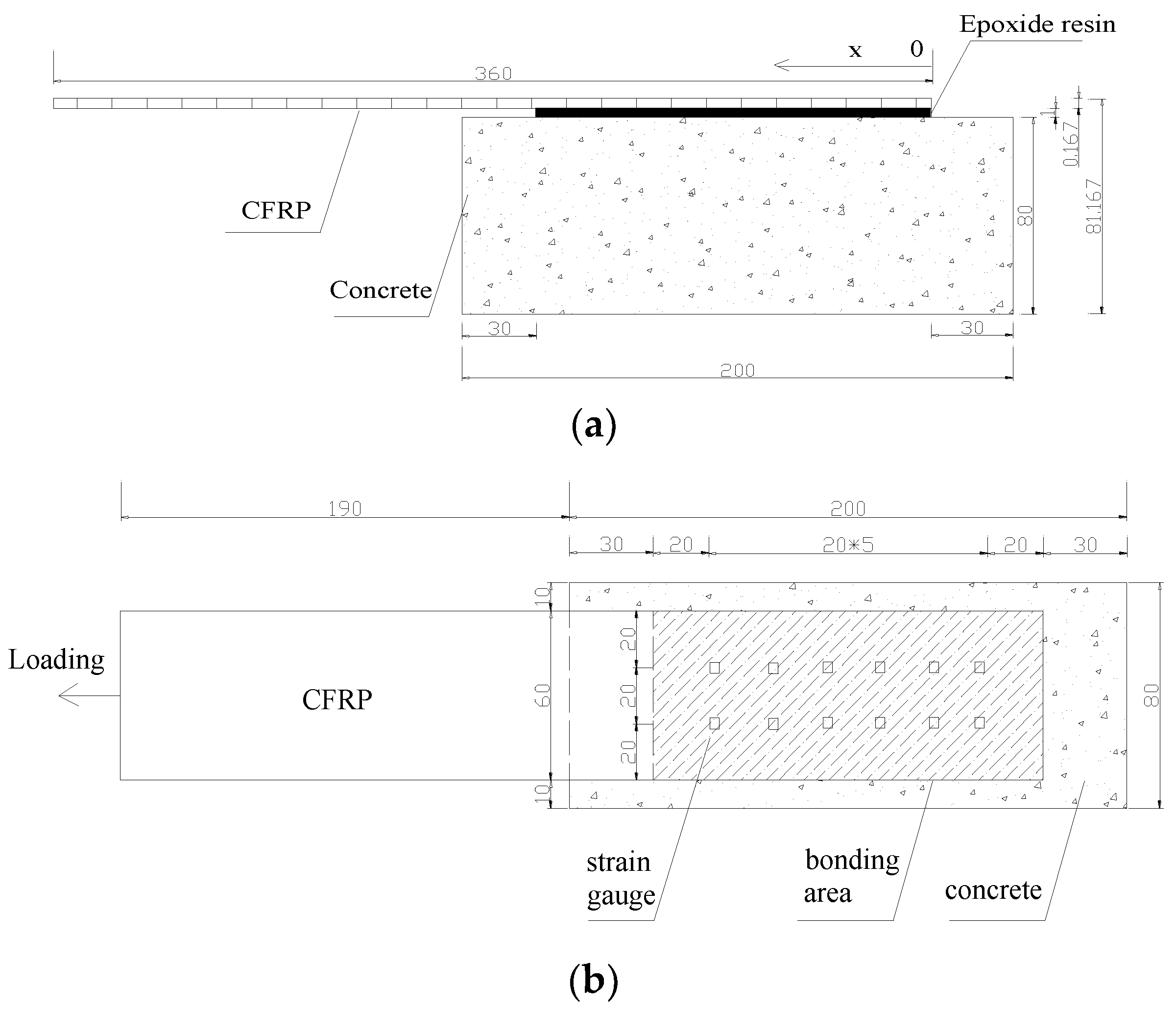 Basic Cloning