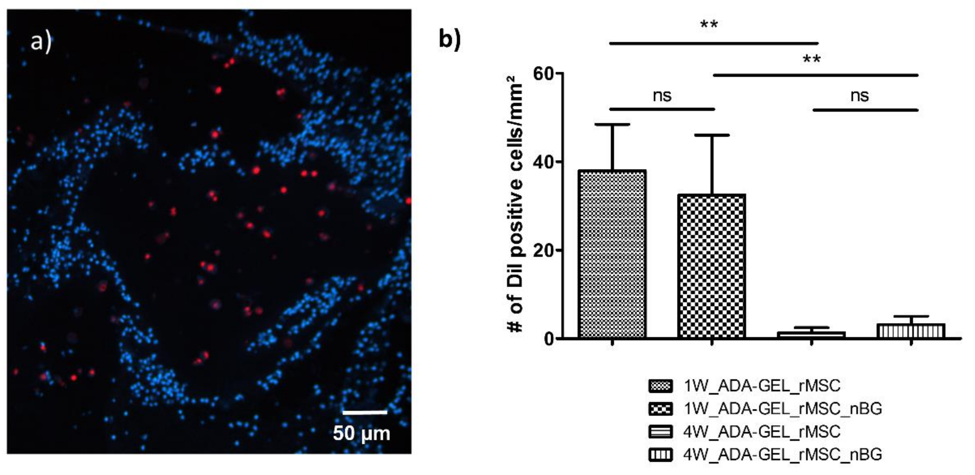 Materials 11 01880 g002