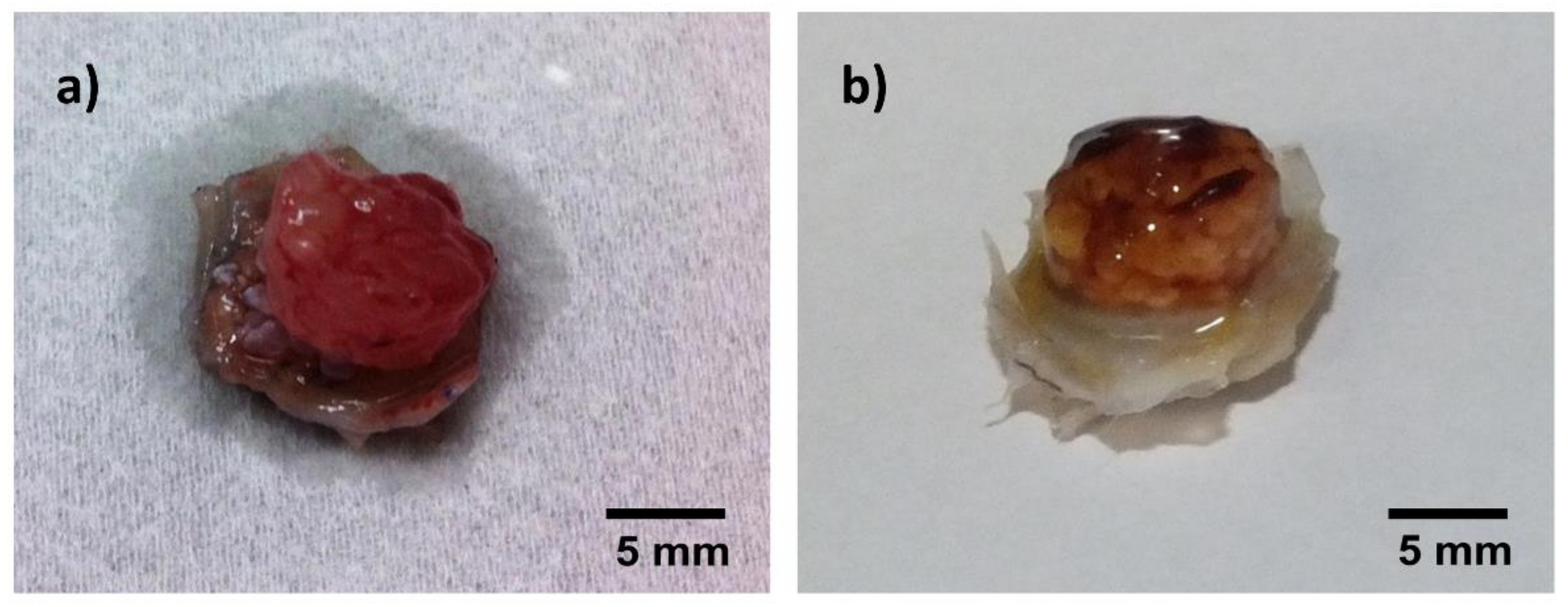 Materials 11 01880 g004a