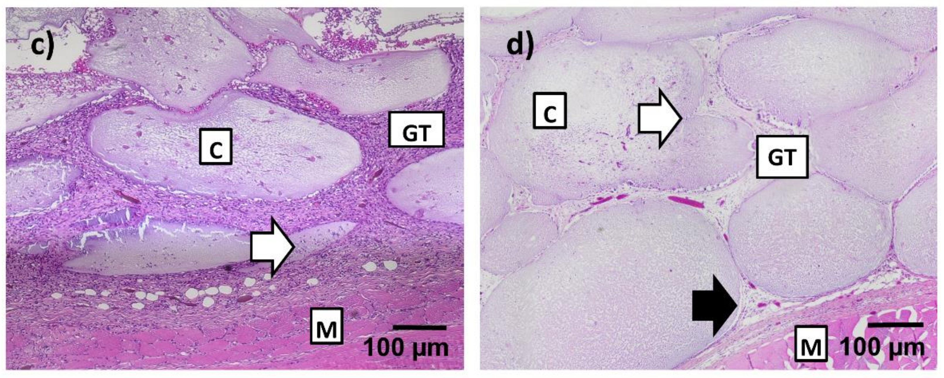 Materials 11 01880 g004b