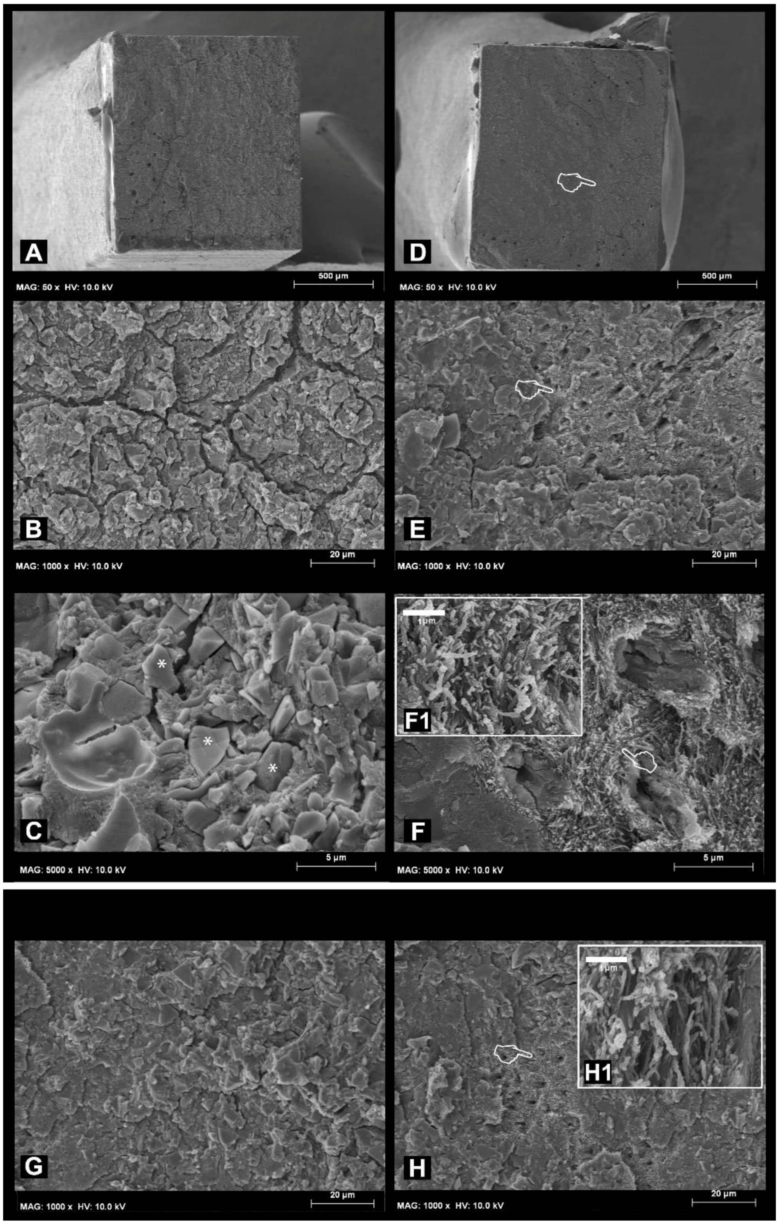 Materials 11 01884 g001 Materials 11 01884 g001