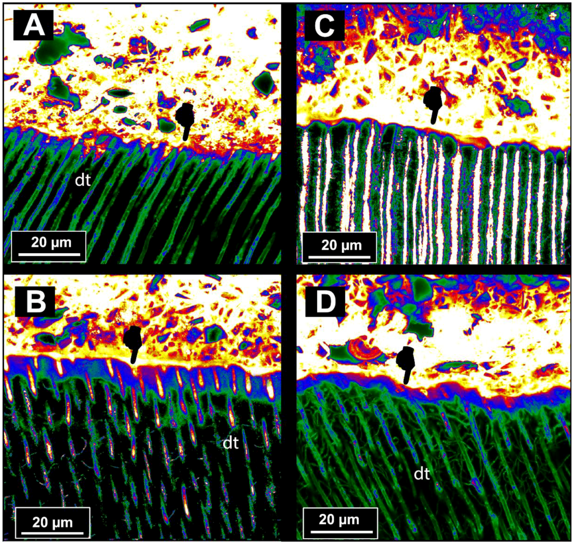 Materials 11 01884 g003 Materials 11 01884 g003
