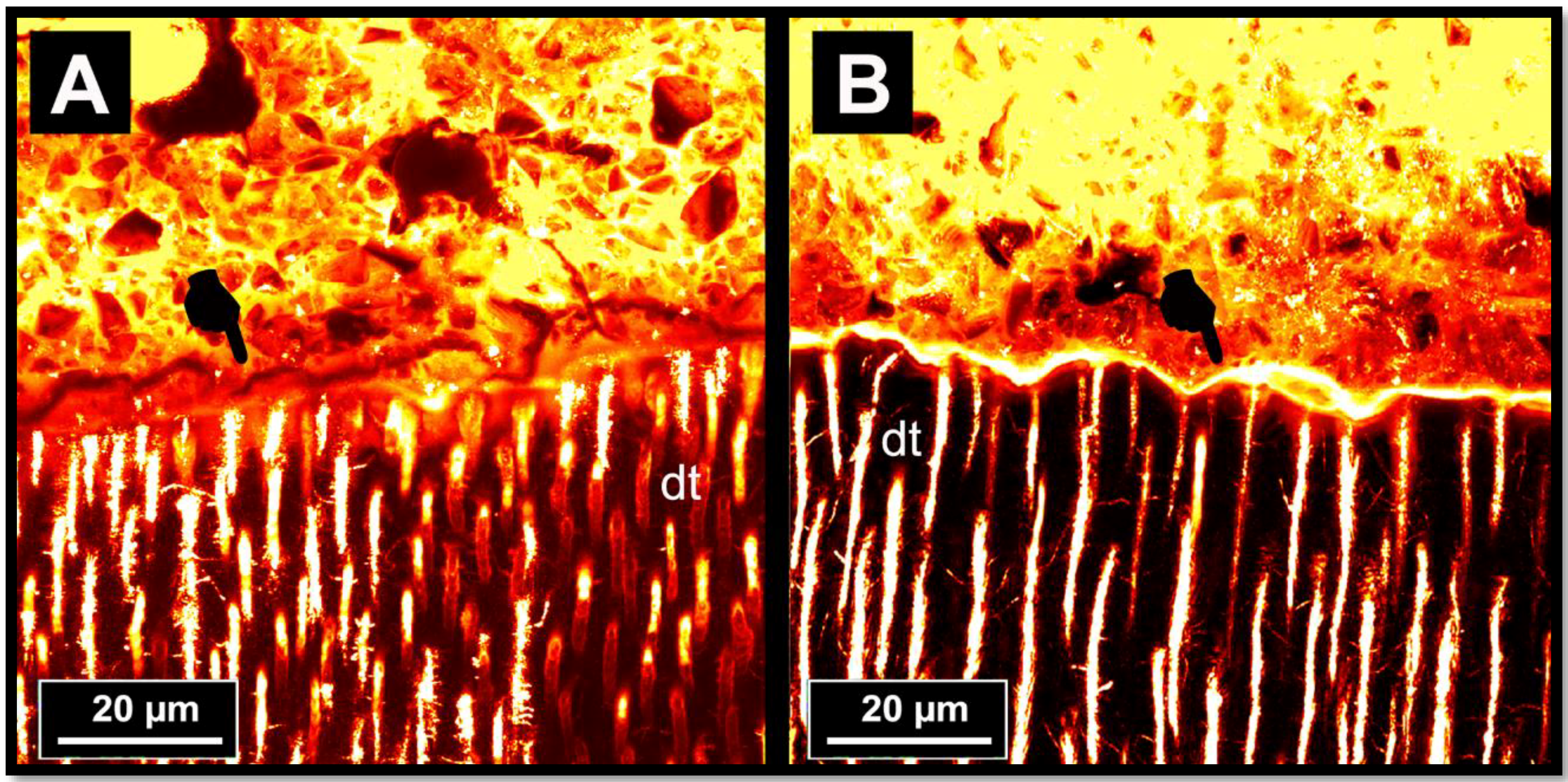 Materials 11 01884 g004 Materials 11 01884 g004