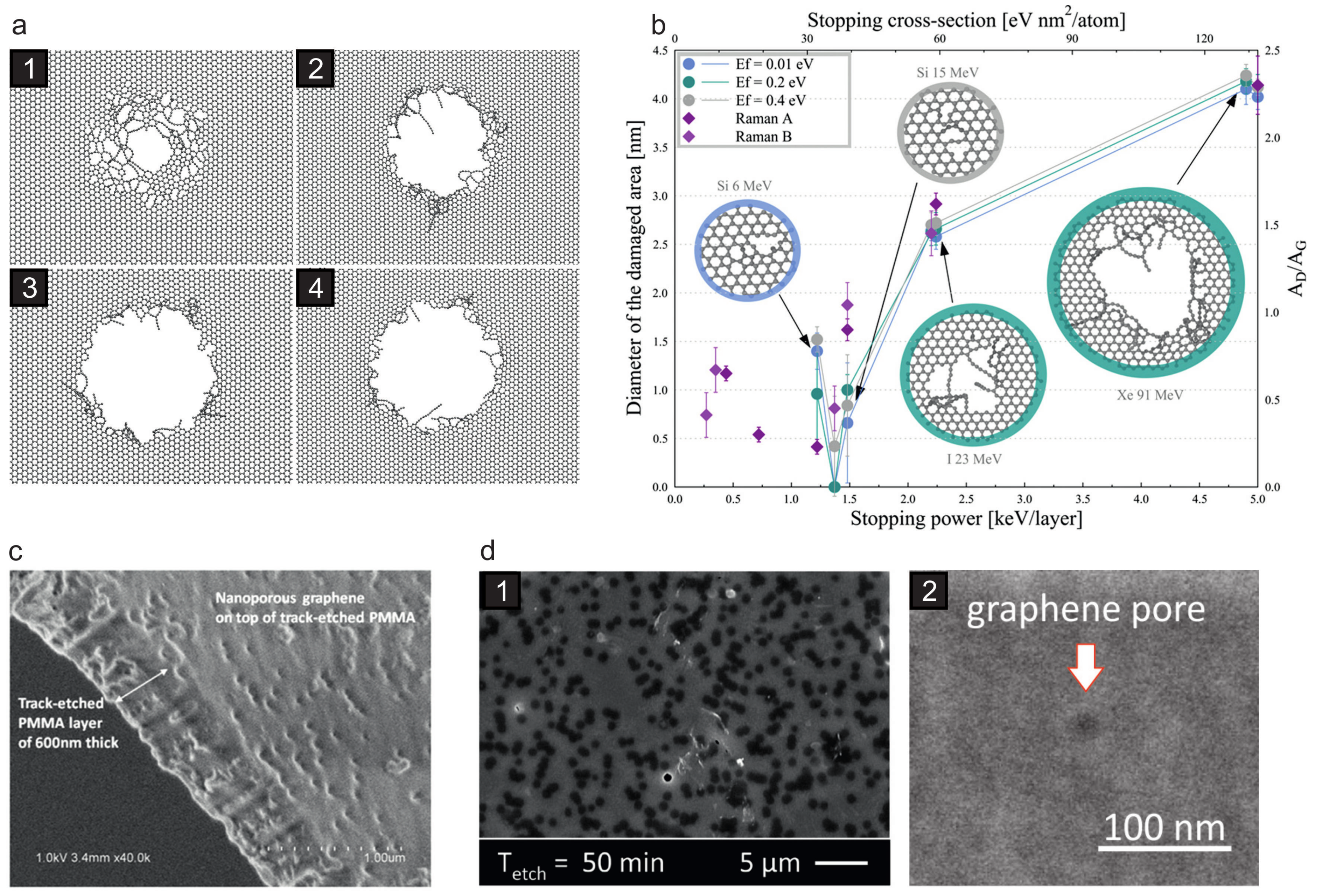 Materials 11 01885 g009 Materials 11 01885 g009