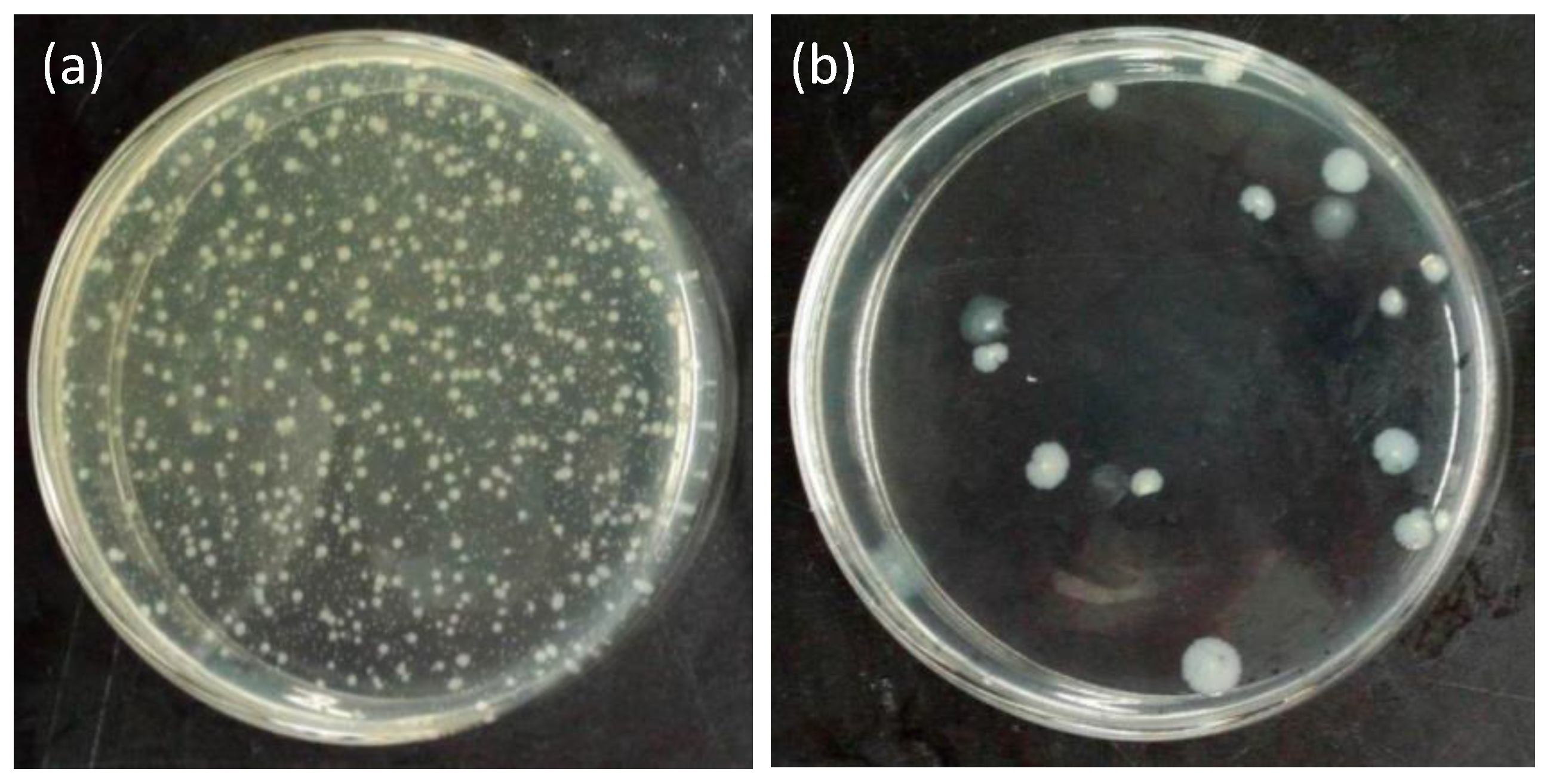 Materials 11 01929 g010