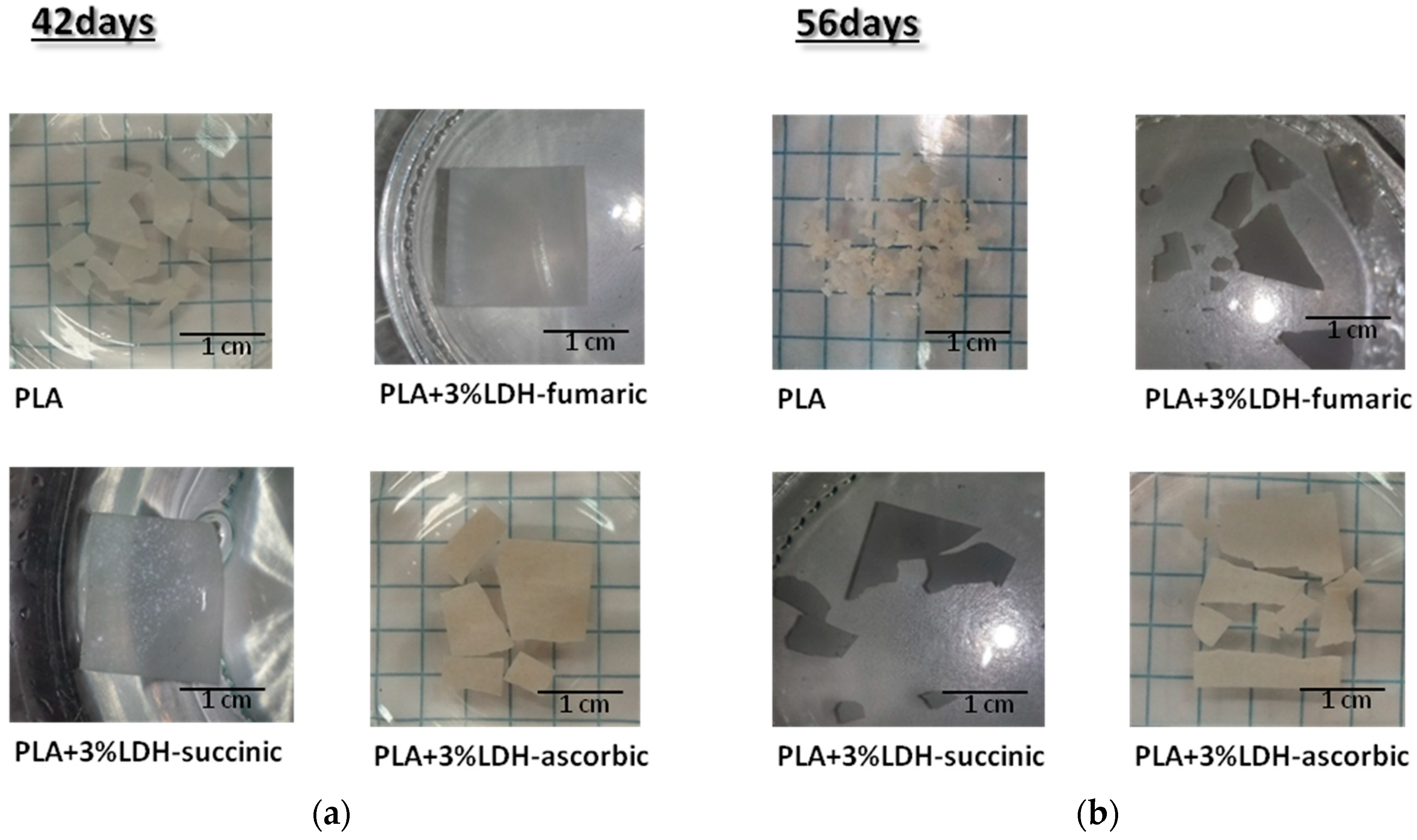 Materials 11 01943 g014