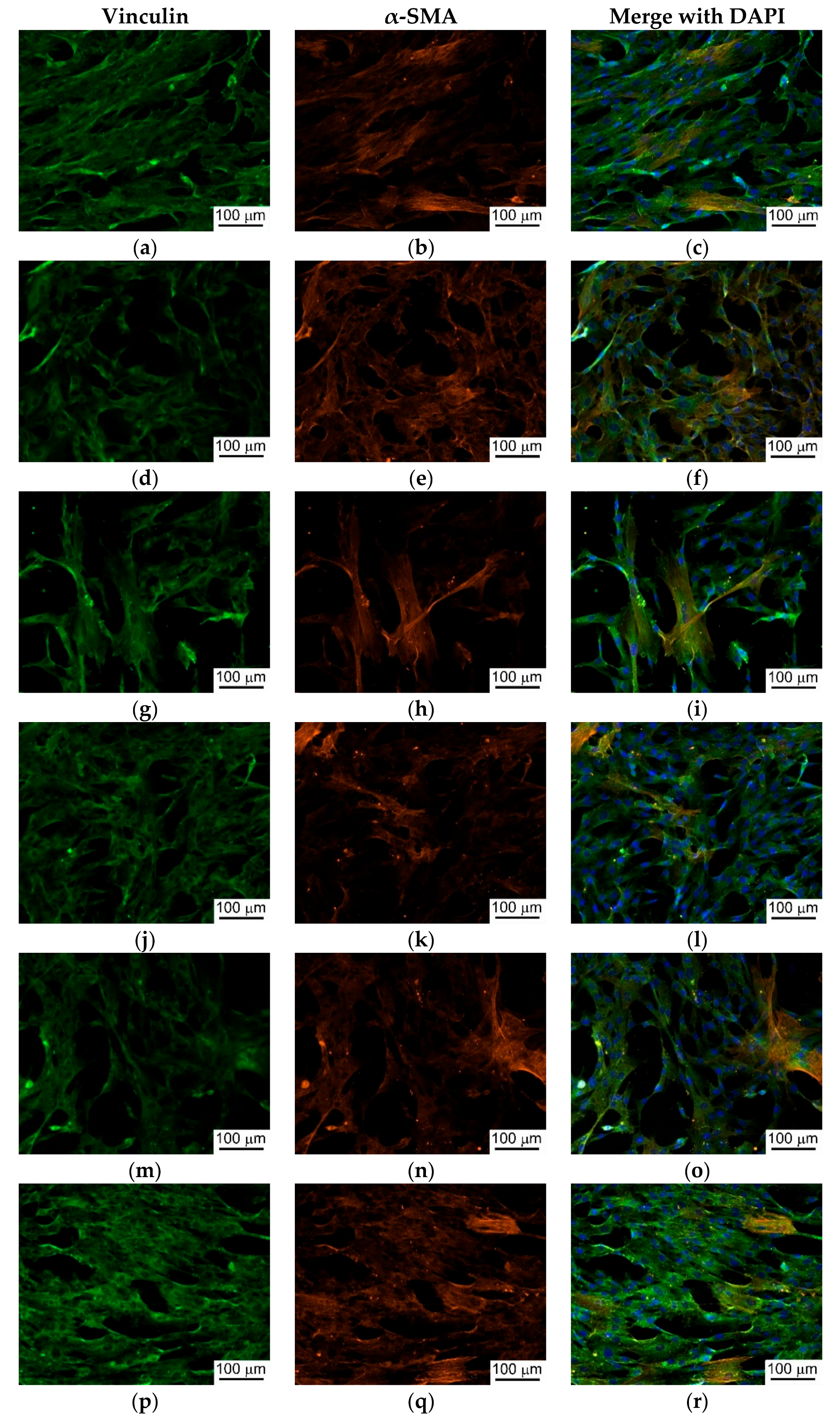 Materials 11 01949 g003