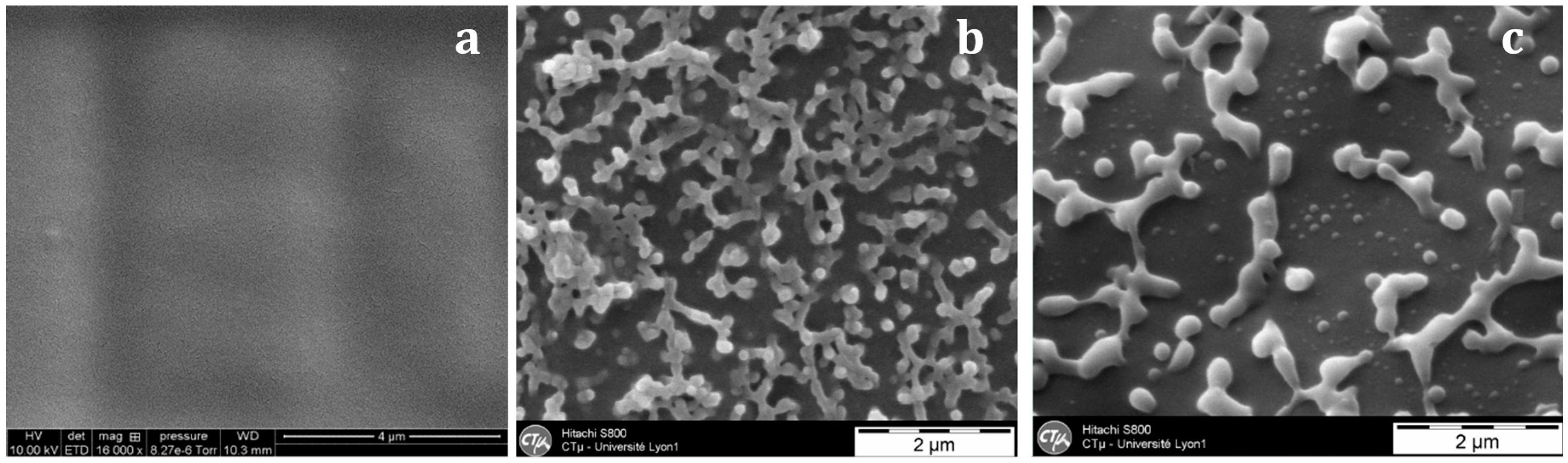 Materials 11 01960 g006 550