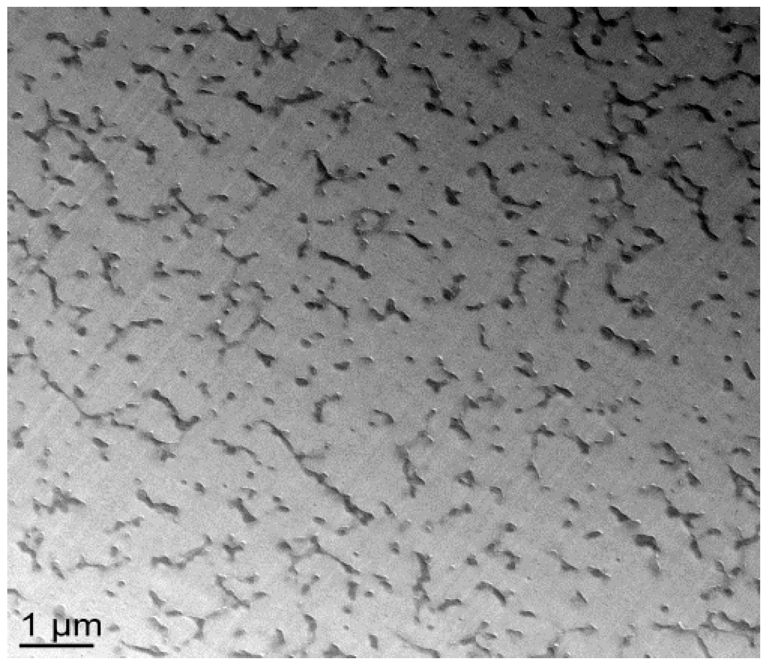 Materials 11 01960 g007 550