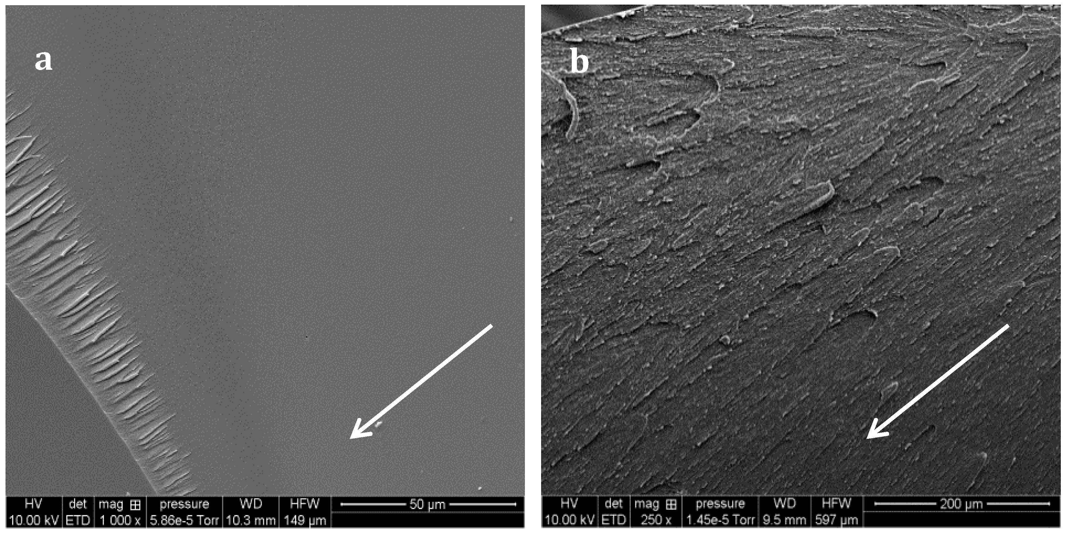 Materials 11 01960 g010 550