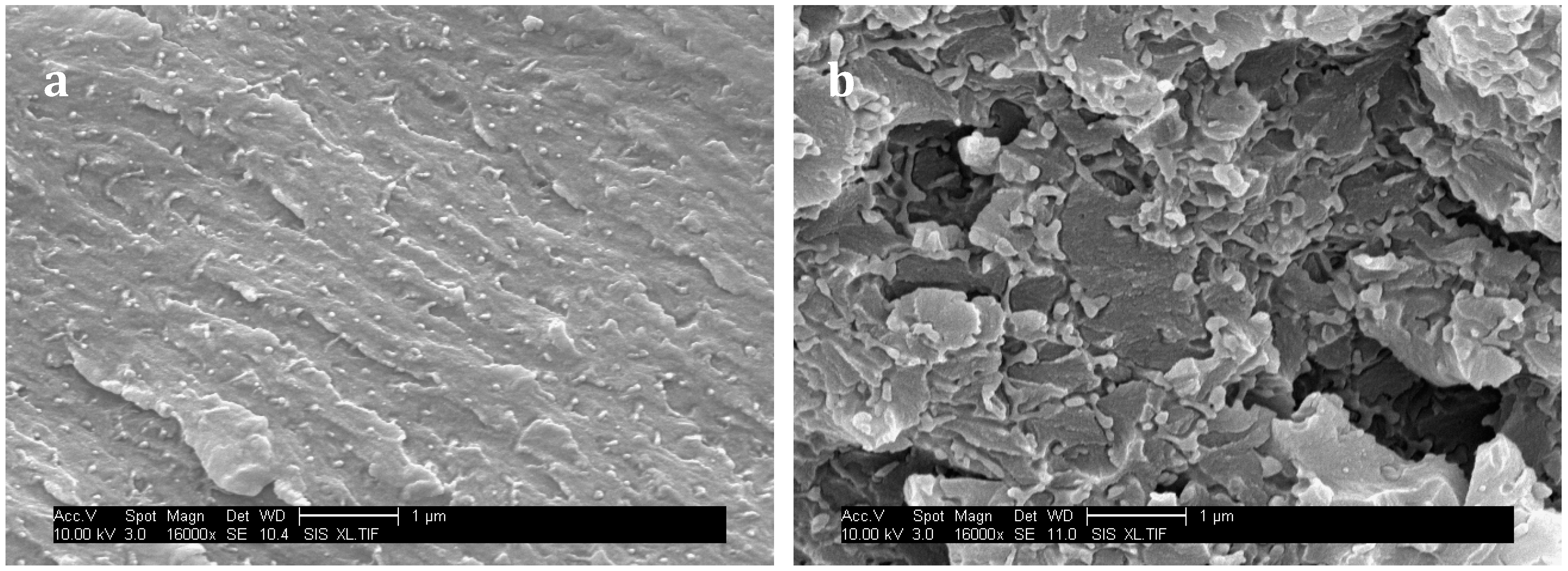 Materials 11 01960 g011 550