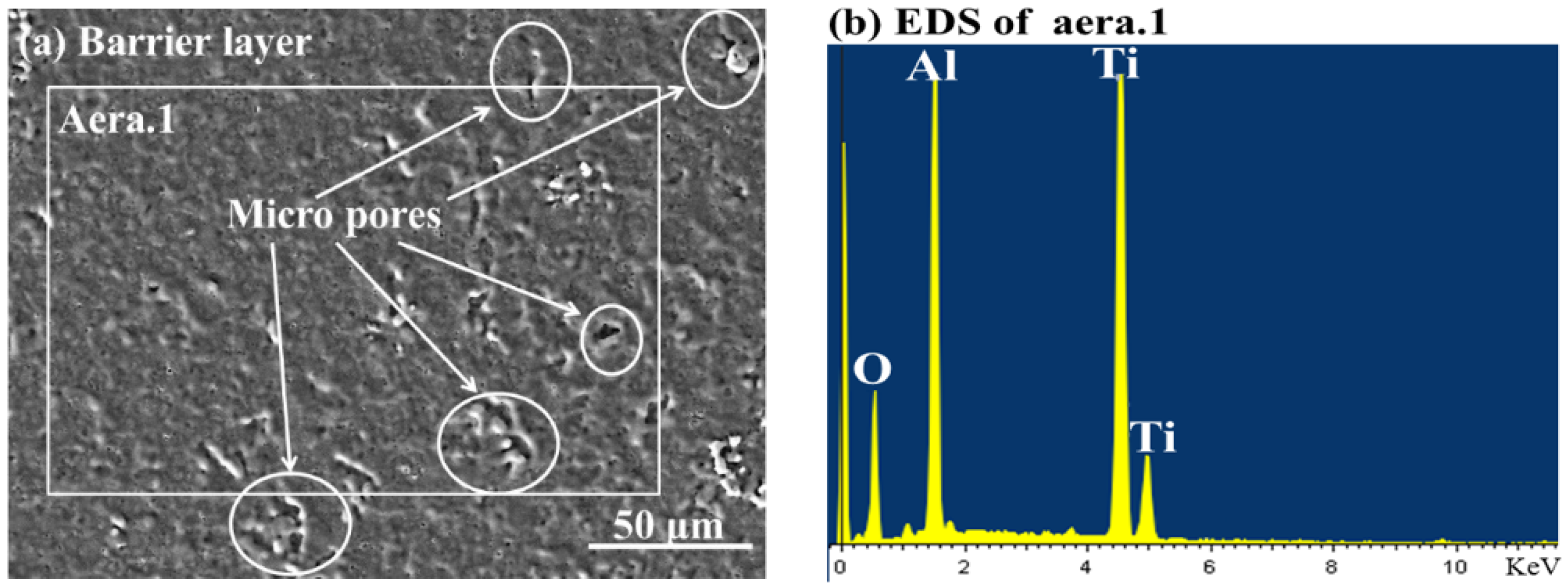 Materials 11 01962 g001