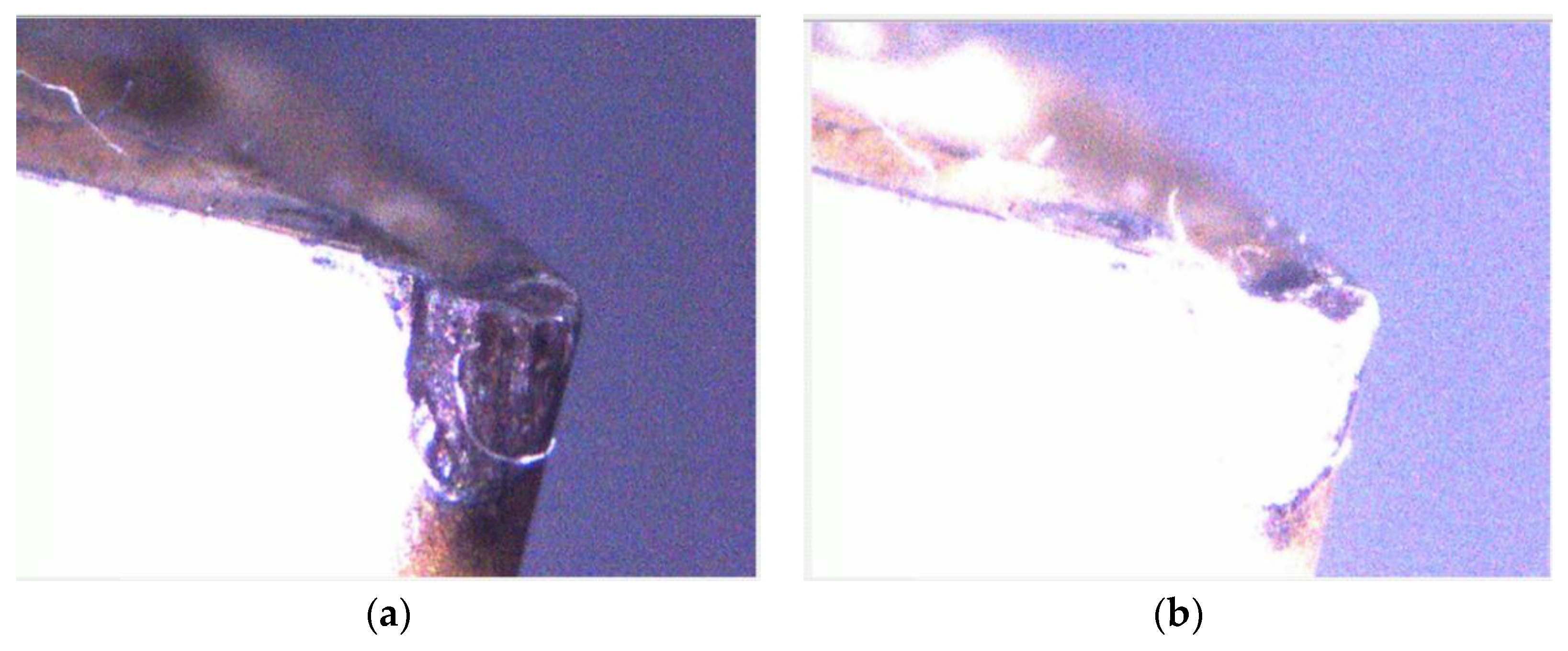 Materials 11 01977 g004