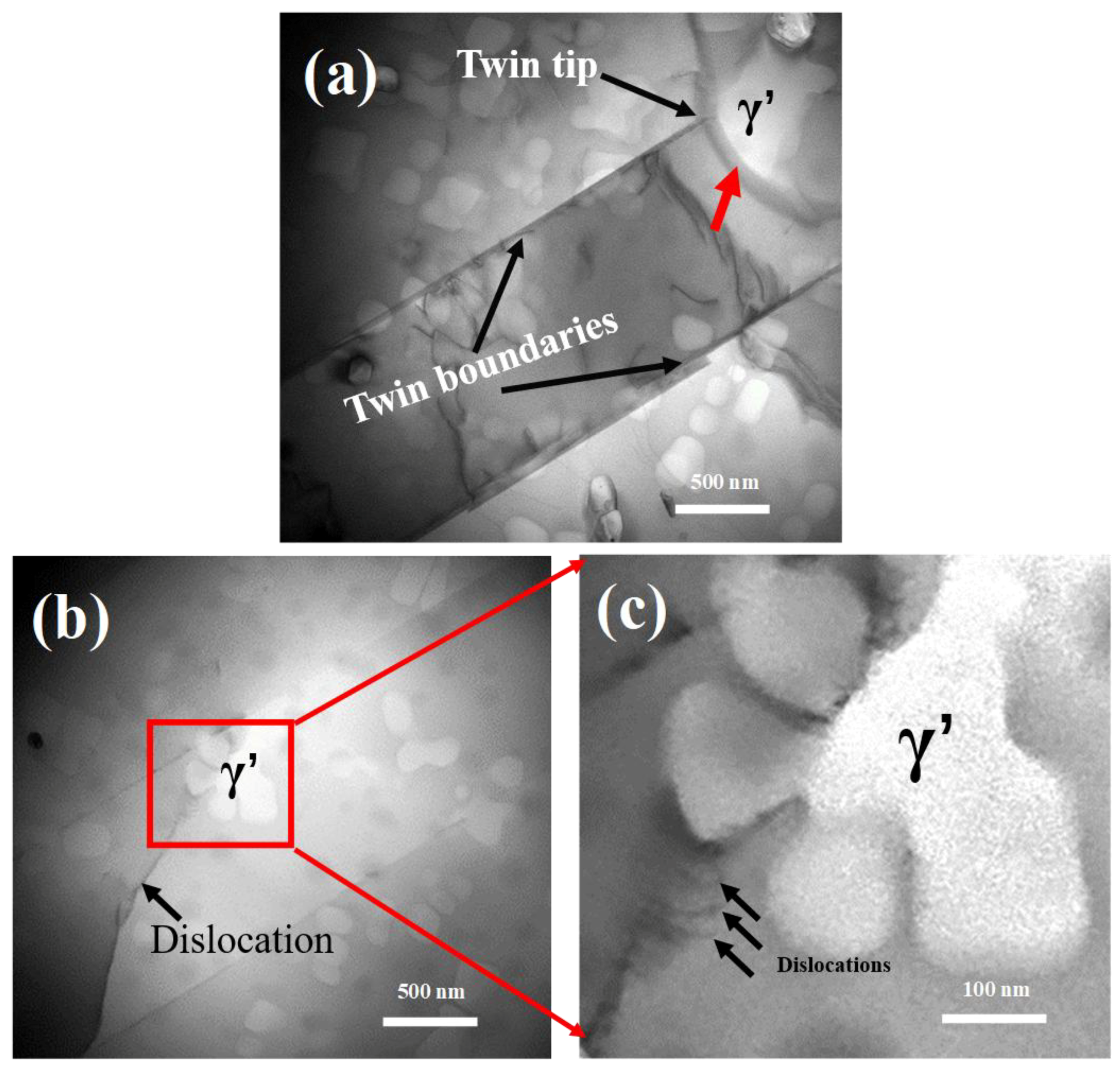 Materials 11 01978 g007