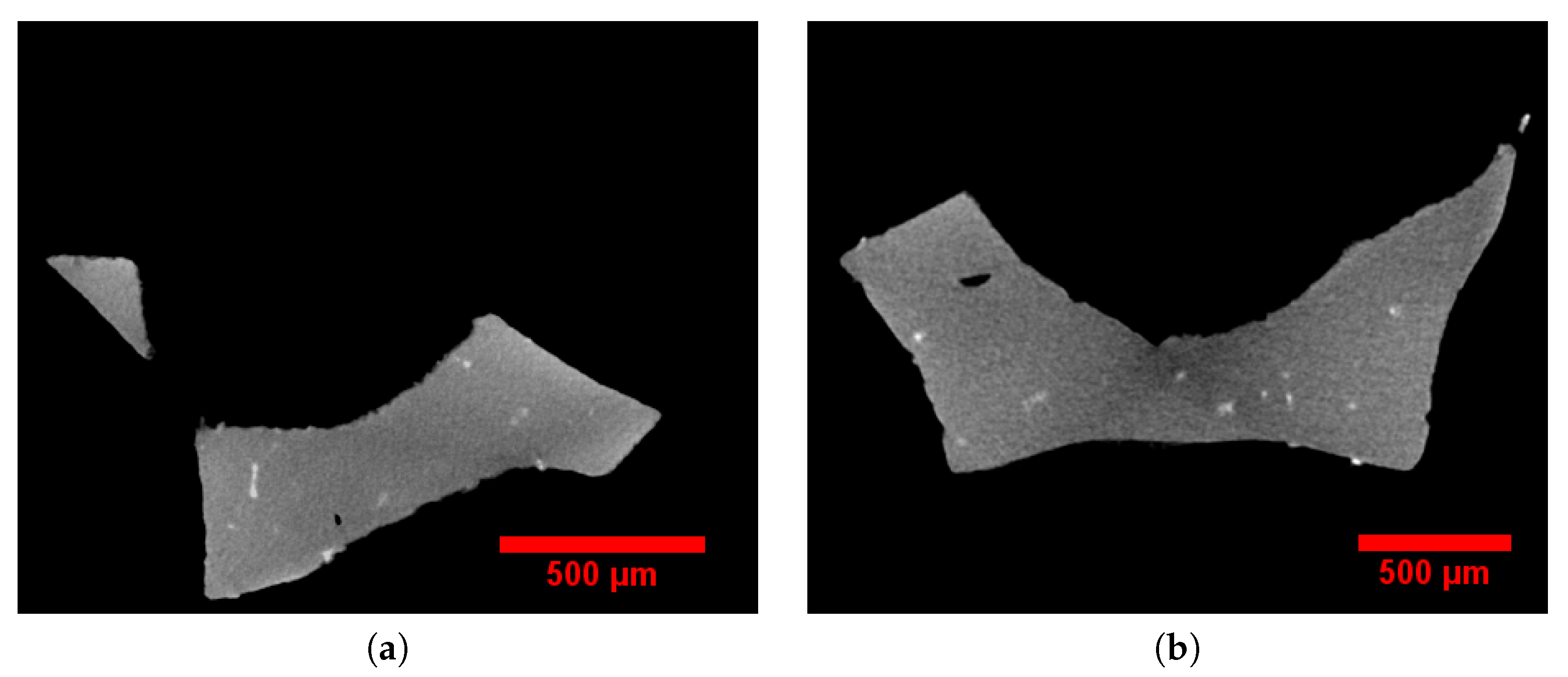 Materials 11 01984 g001 550