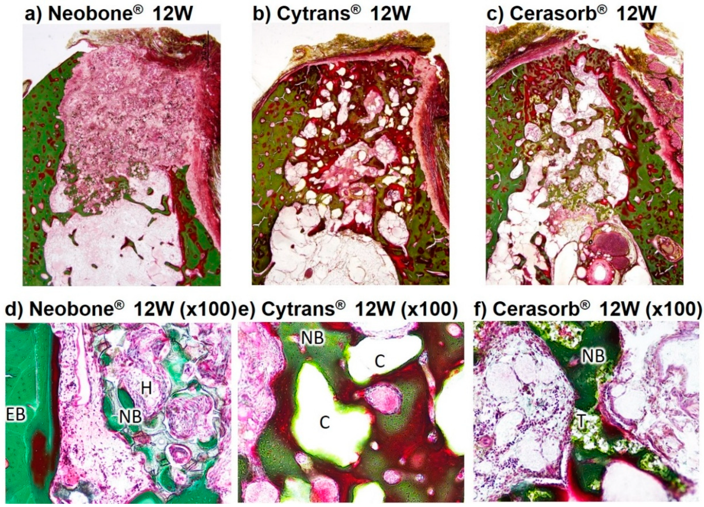 Materials 11 01993 g007 550
