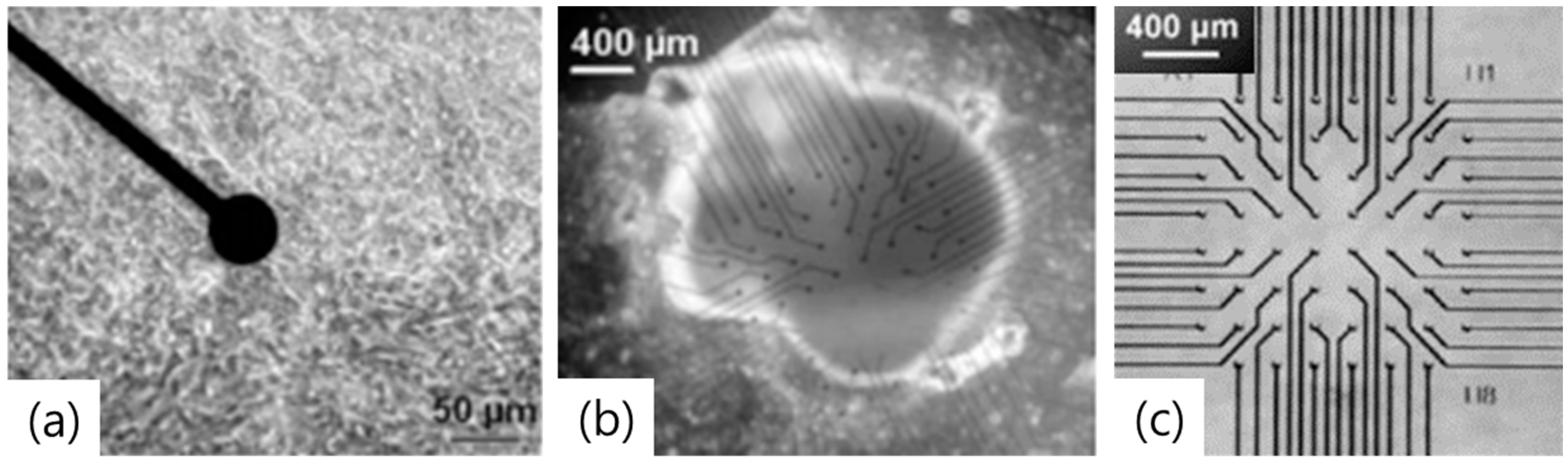 Materials 11 01995 g001