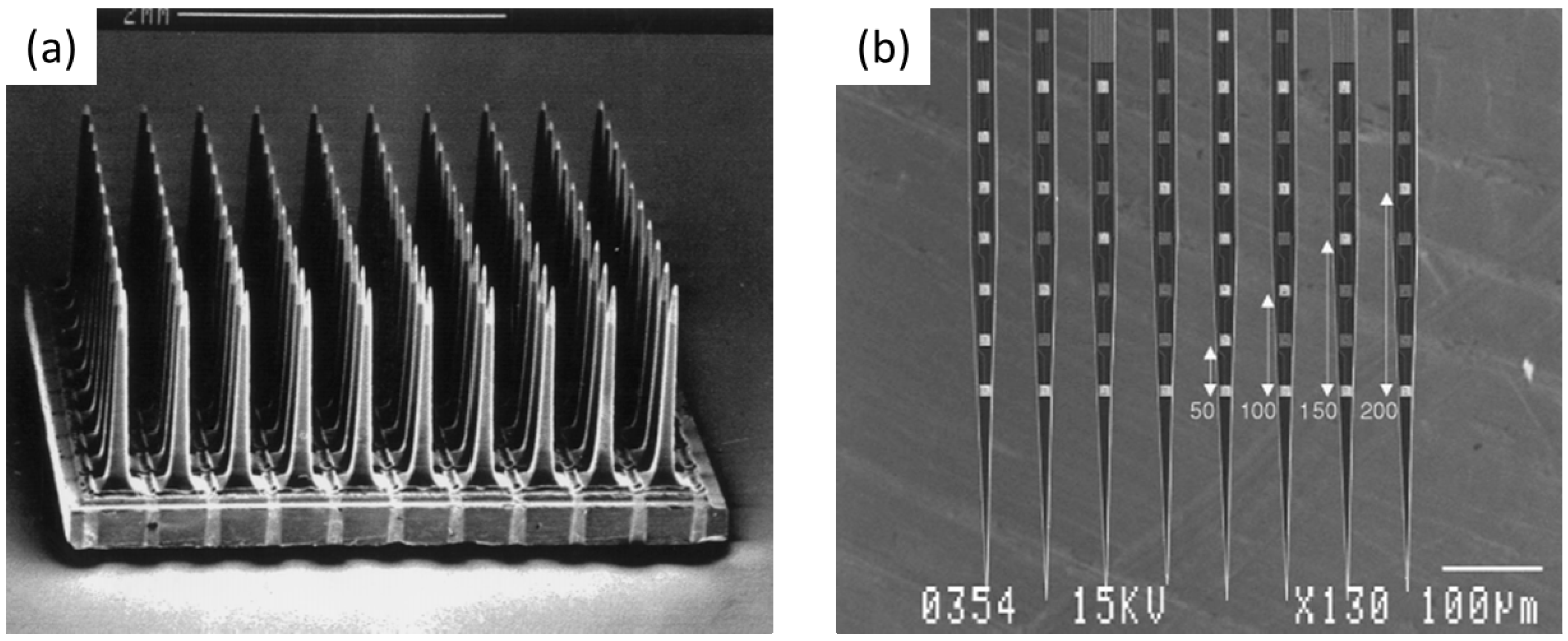 Materials 11 01995 g004